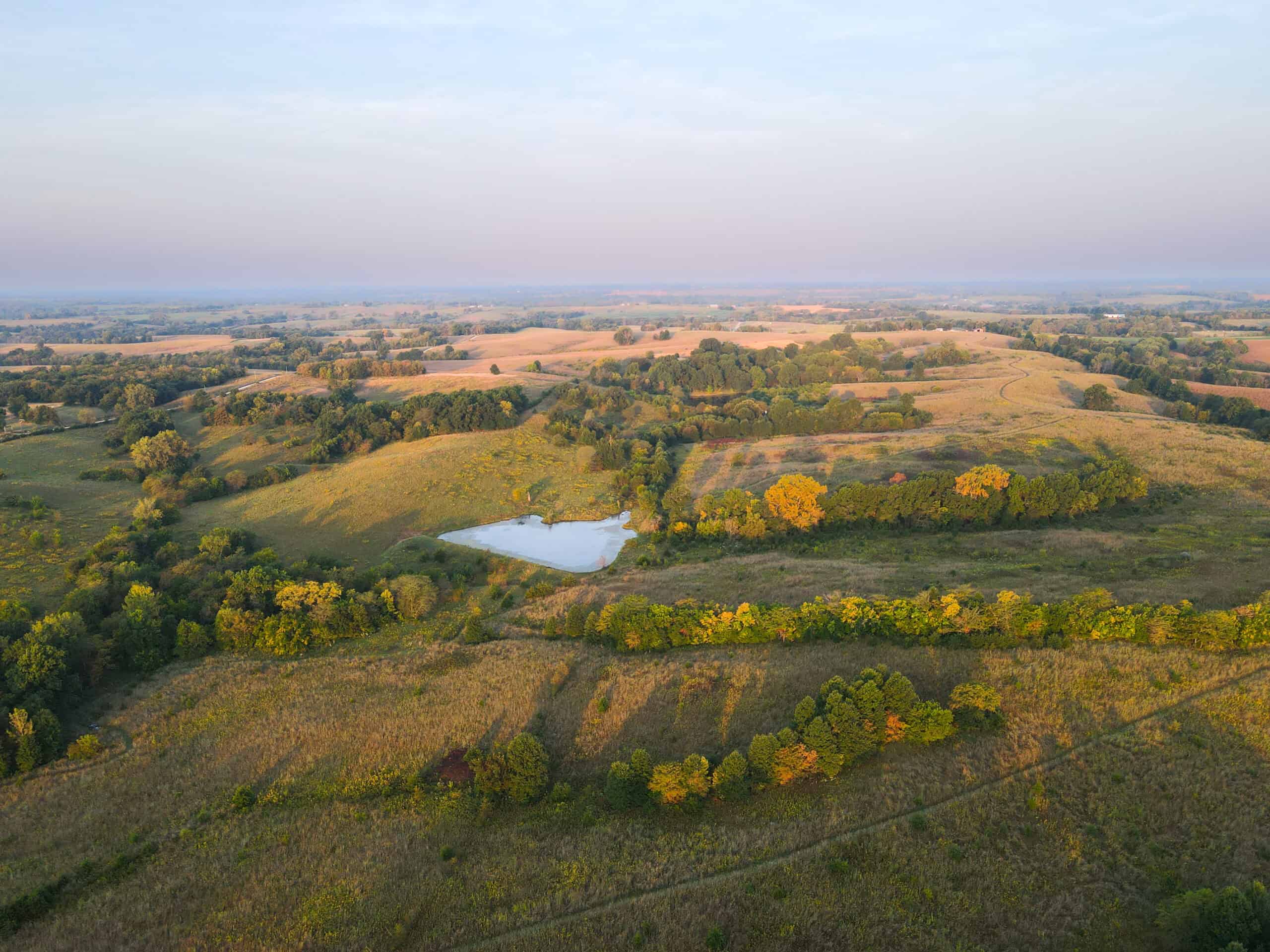 Rare Opportunity: Premium 450± Acre Managed Hunting Paradise