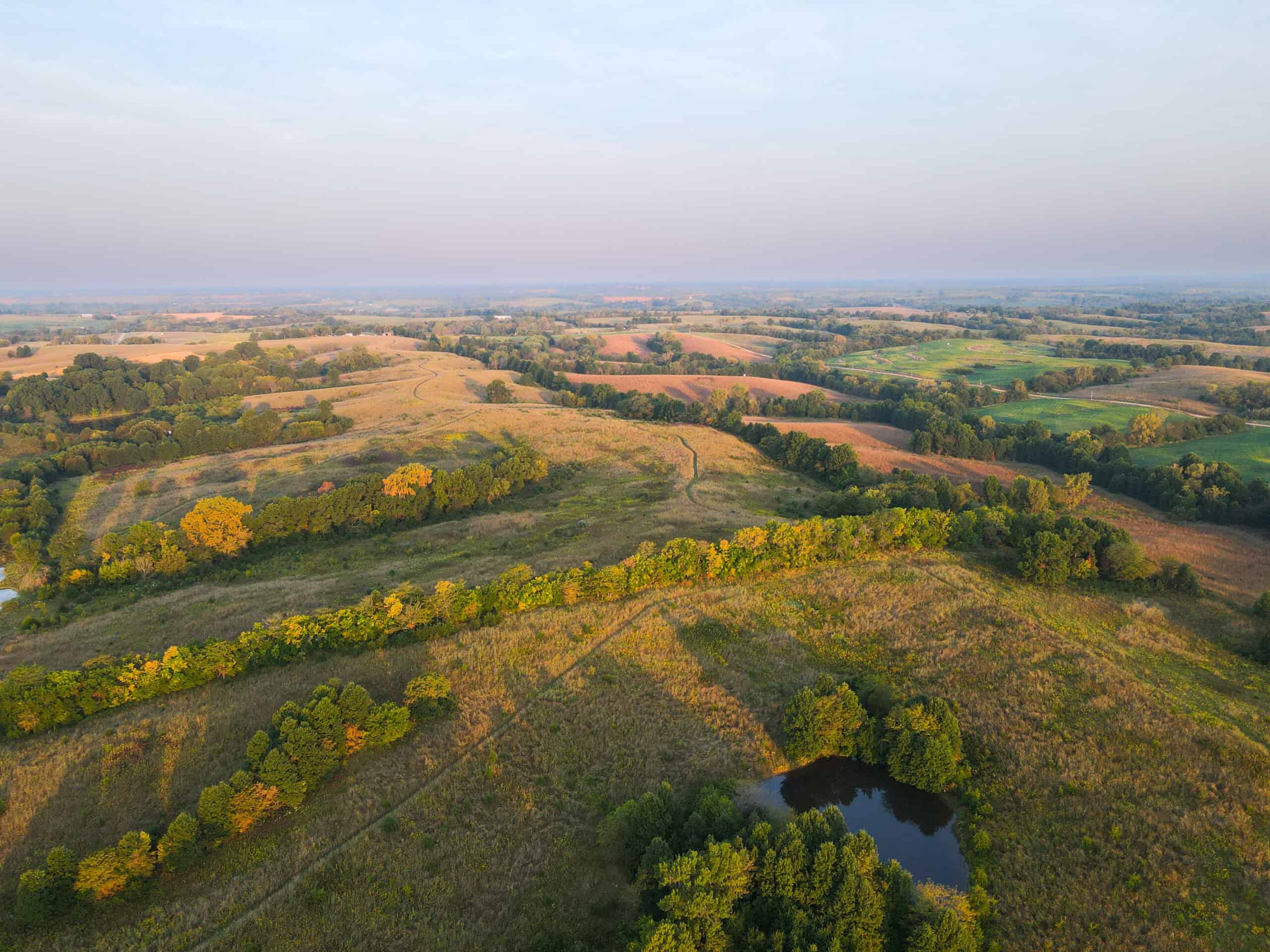 Rare Opportunity: Premium 450± Acre Managed Hunting Paradise
