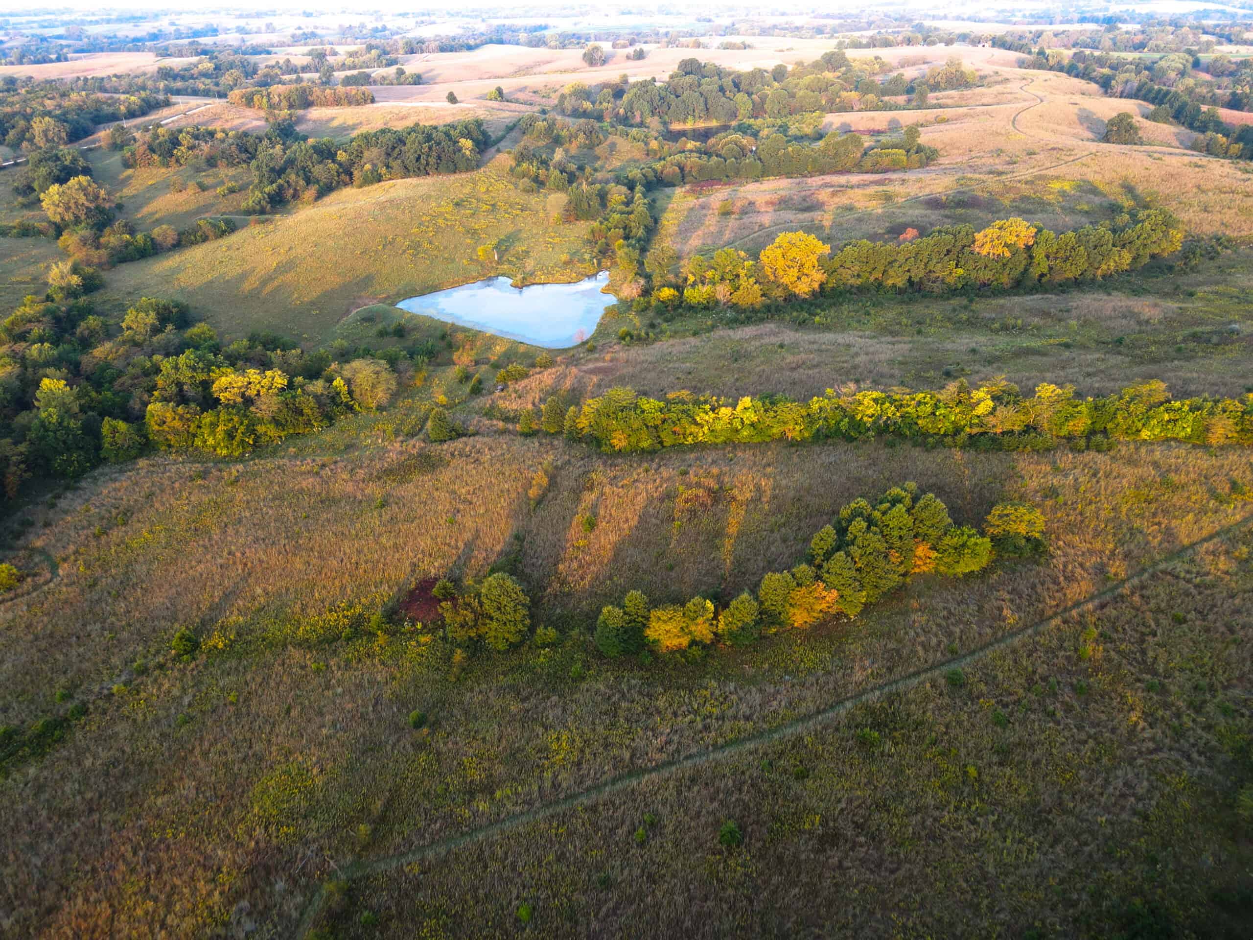 Rare Opportunity: Premium 450± Acre Managed Hunting Paradise