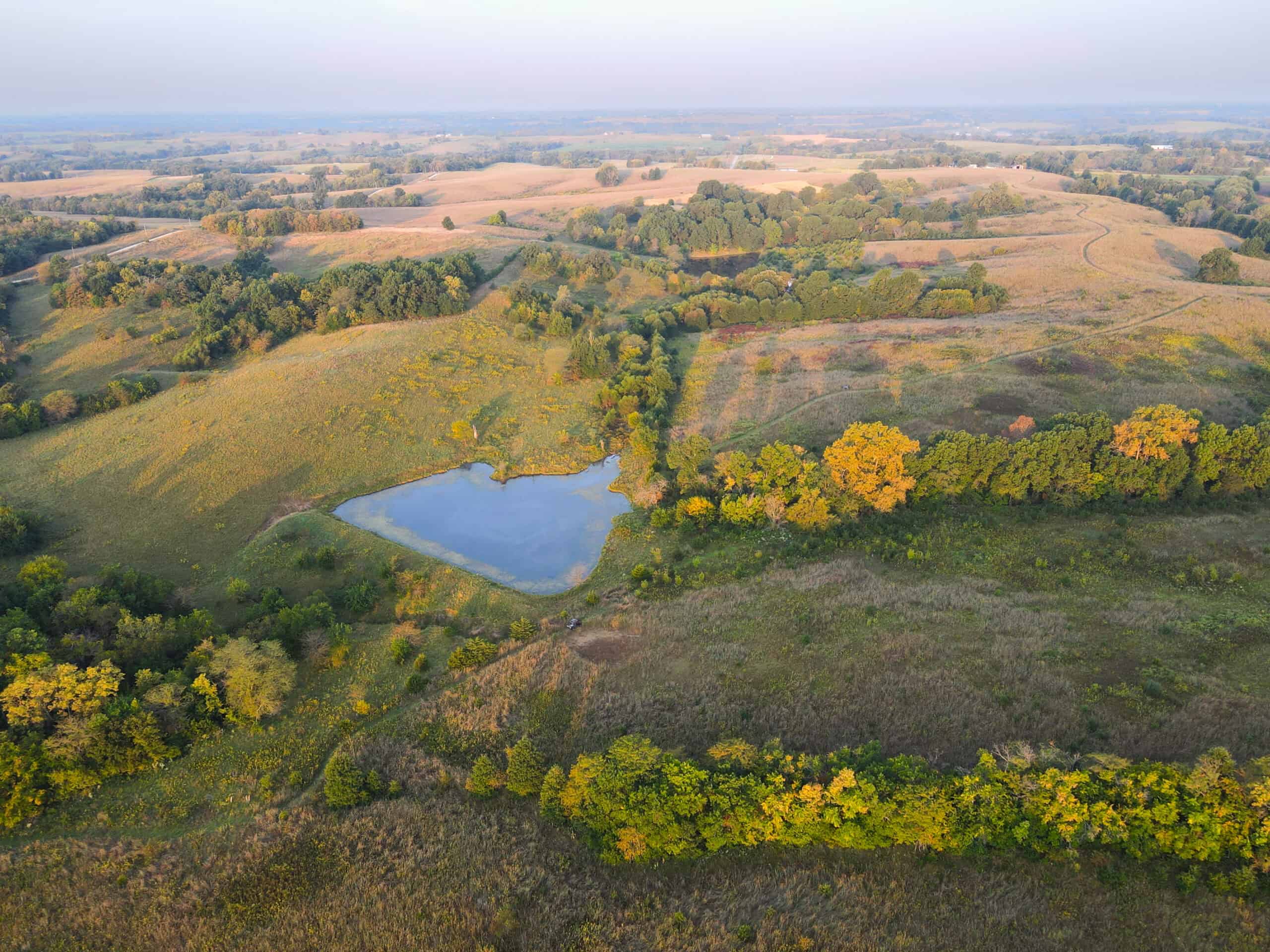 Rare Opportunity: Premium 450± Acre Managed Hunting Paradise