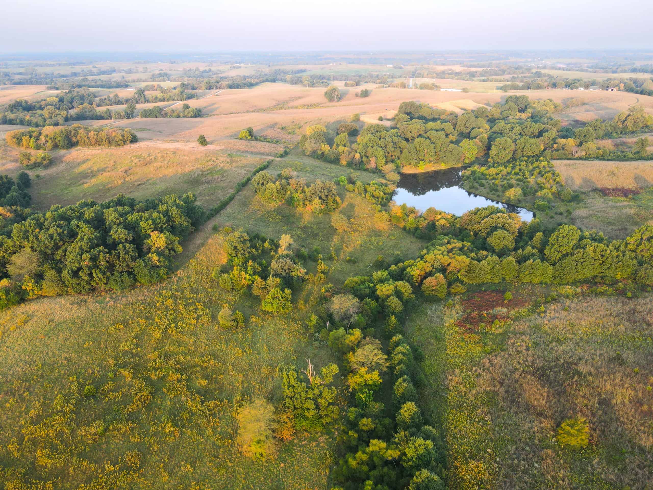 Rare Opportunity: Premium 450± Acre Managed Hunting Paradise