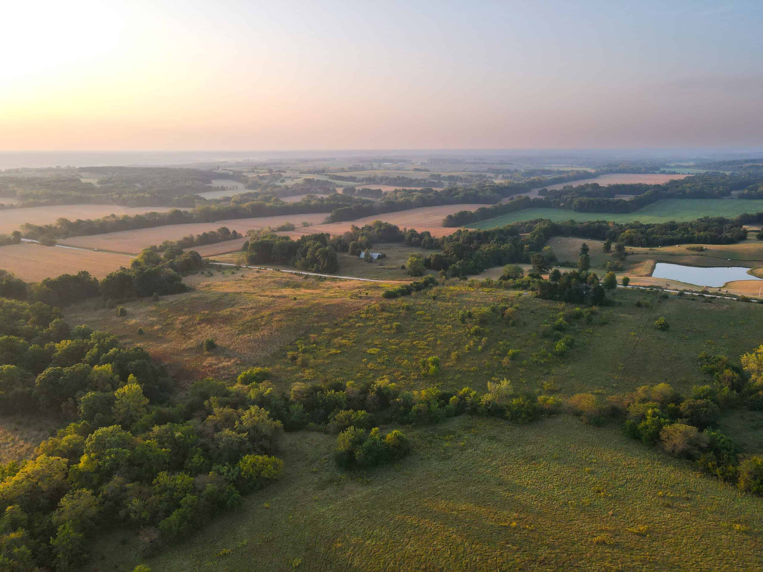 Rare Opportunity: Premium 450± Acre Managed Hunting Paradise