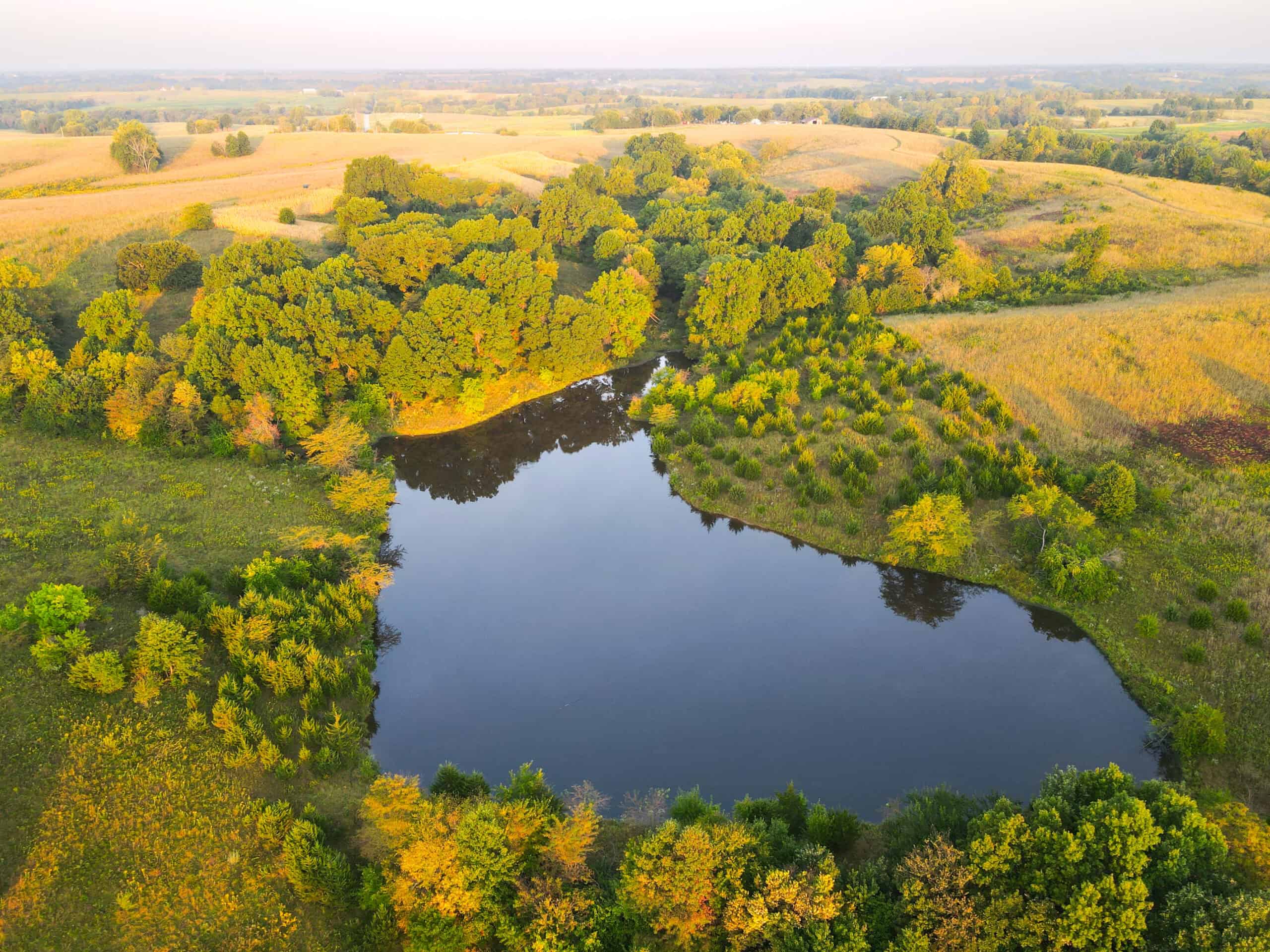 Rare Opportunity: Premium 450± Acre Managed Hunting Paradise
