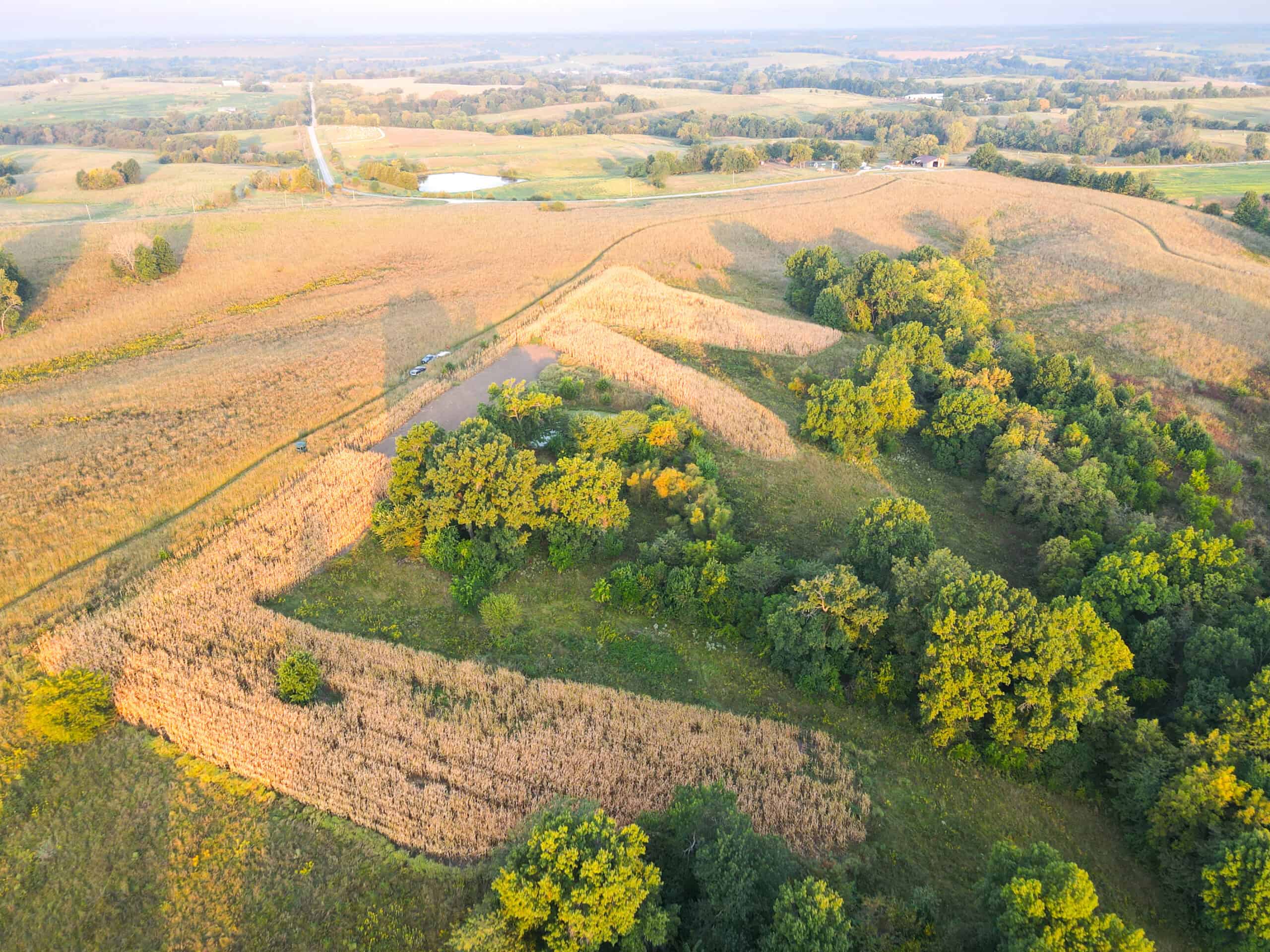 Rare Opportunity: Premium 450± Acre Managed Hunting Paradise