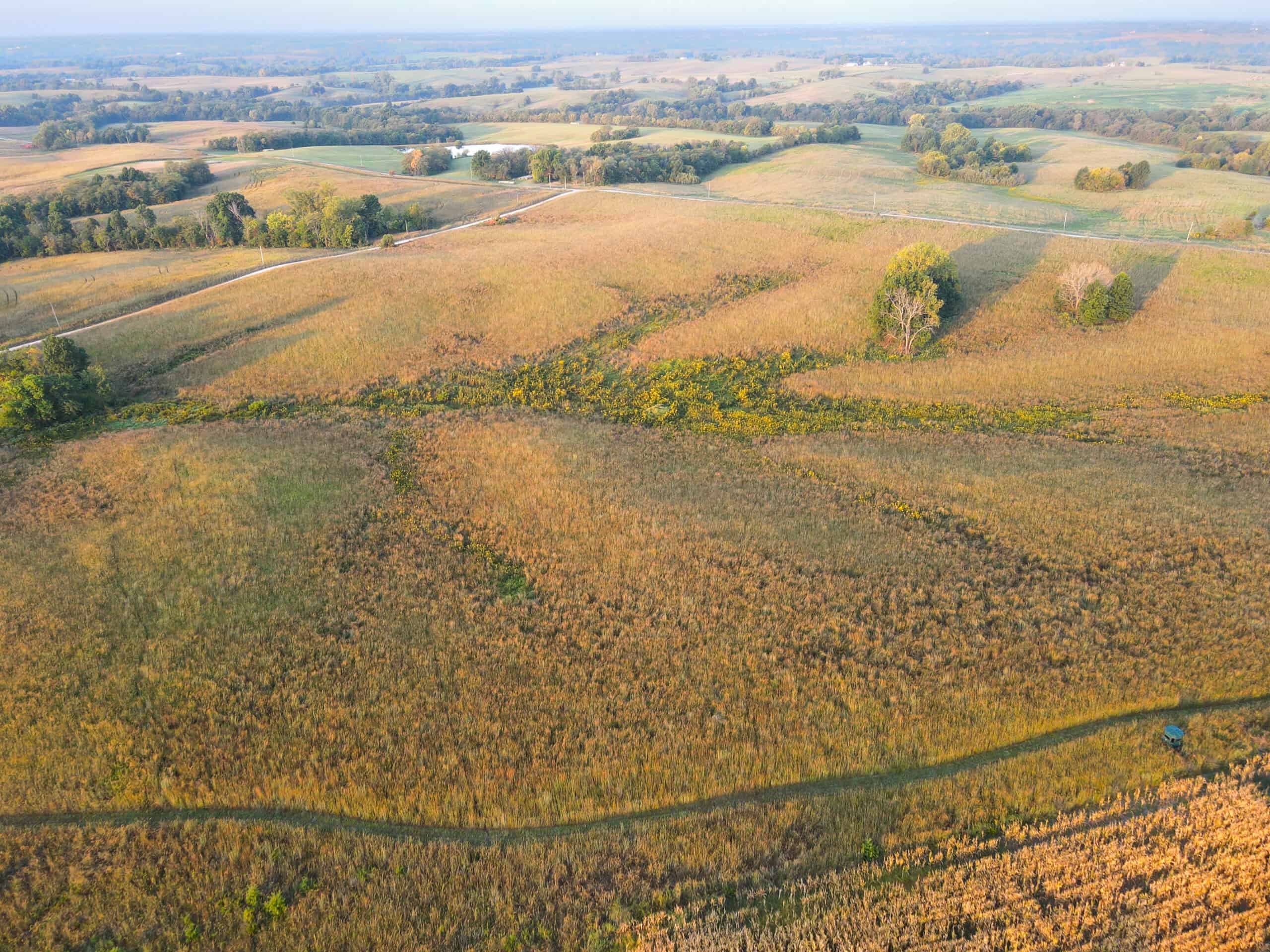 Rare Opportunity: Premium 450± Acre Managed Hunting Paradise