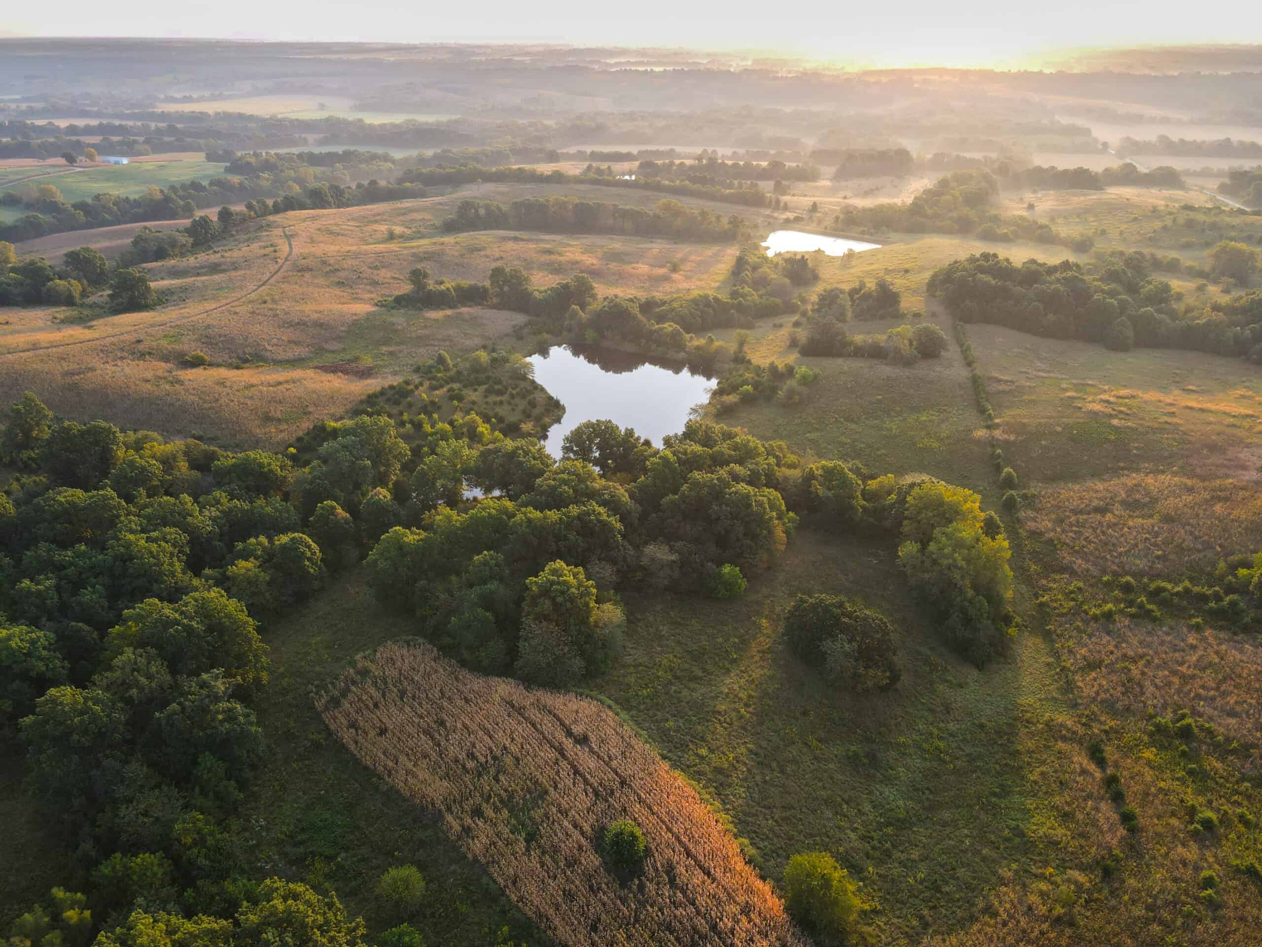 Rare Opportunity: Premium 450± Acre Managed Hunting Paradise