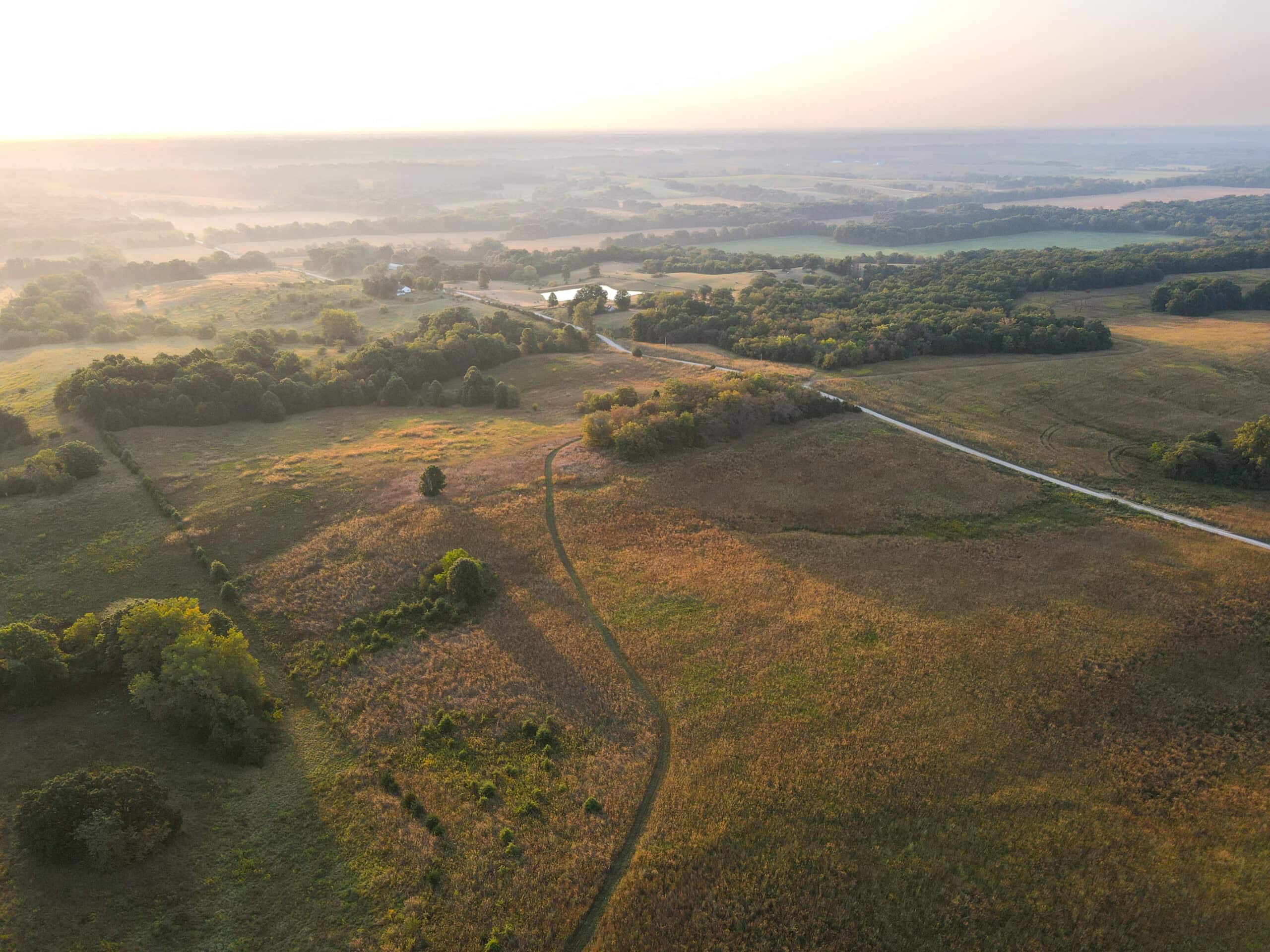 Rare Opportunity: Premium 450± Acre Managed Hunting Paradise