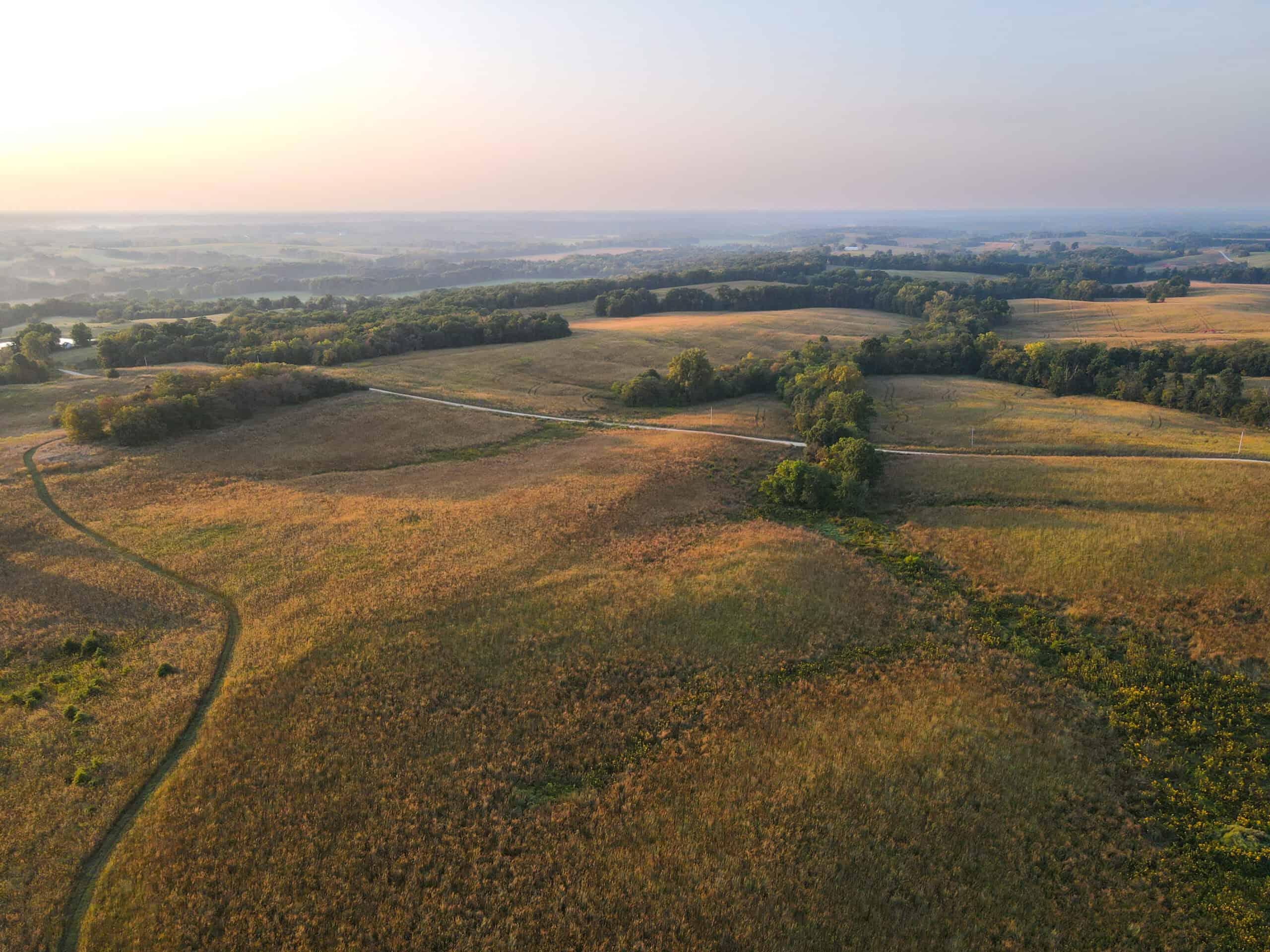 Rare Opportunity: Premium 450± Acre Managed Hunting Paradise