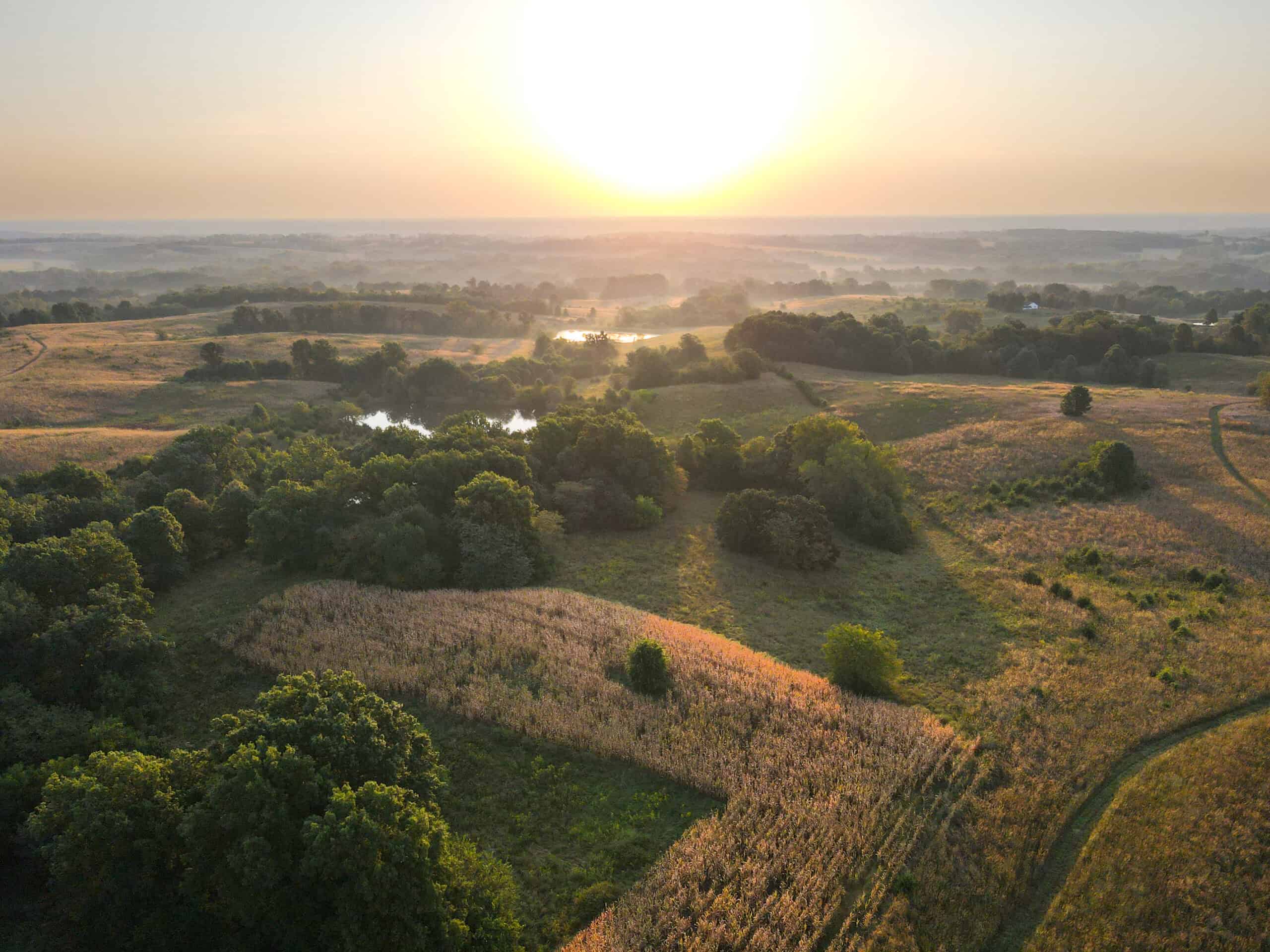 Rare Opportunity: Premium 450± Acre Managed Hunting Paradise