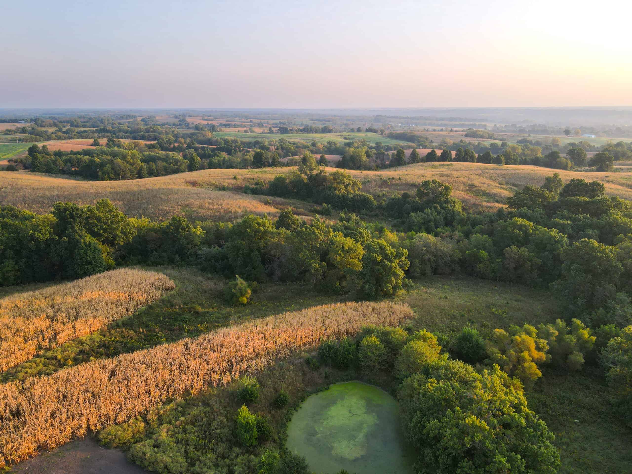 Rare Opportunity: Premium 450± Acre Managed Hunting Paradise