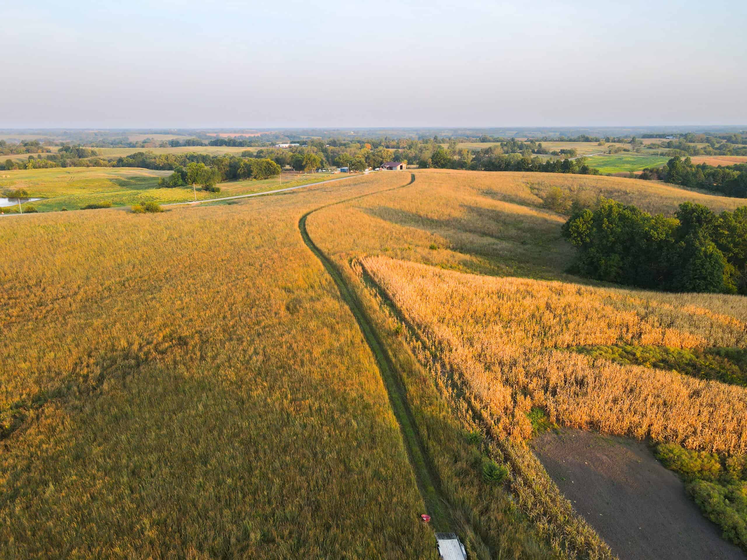 Rare Opportunity: Premium 450± Acre Managed Hunting Paradise