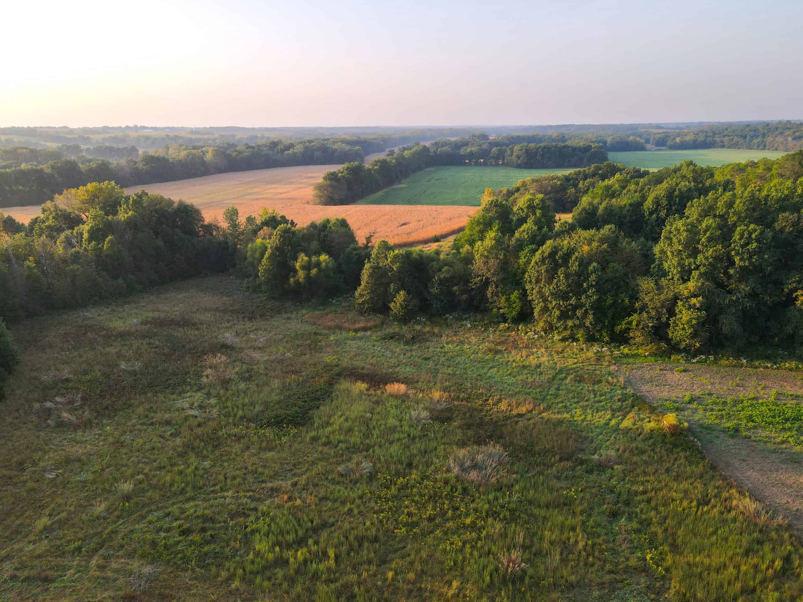 Rare Opportunity: Premium 450± Acre Managed Hunting Paradise