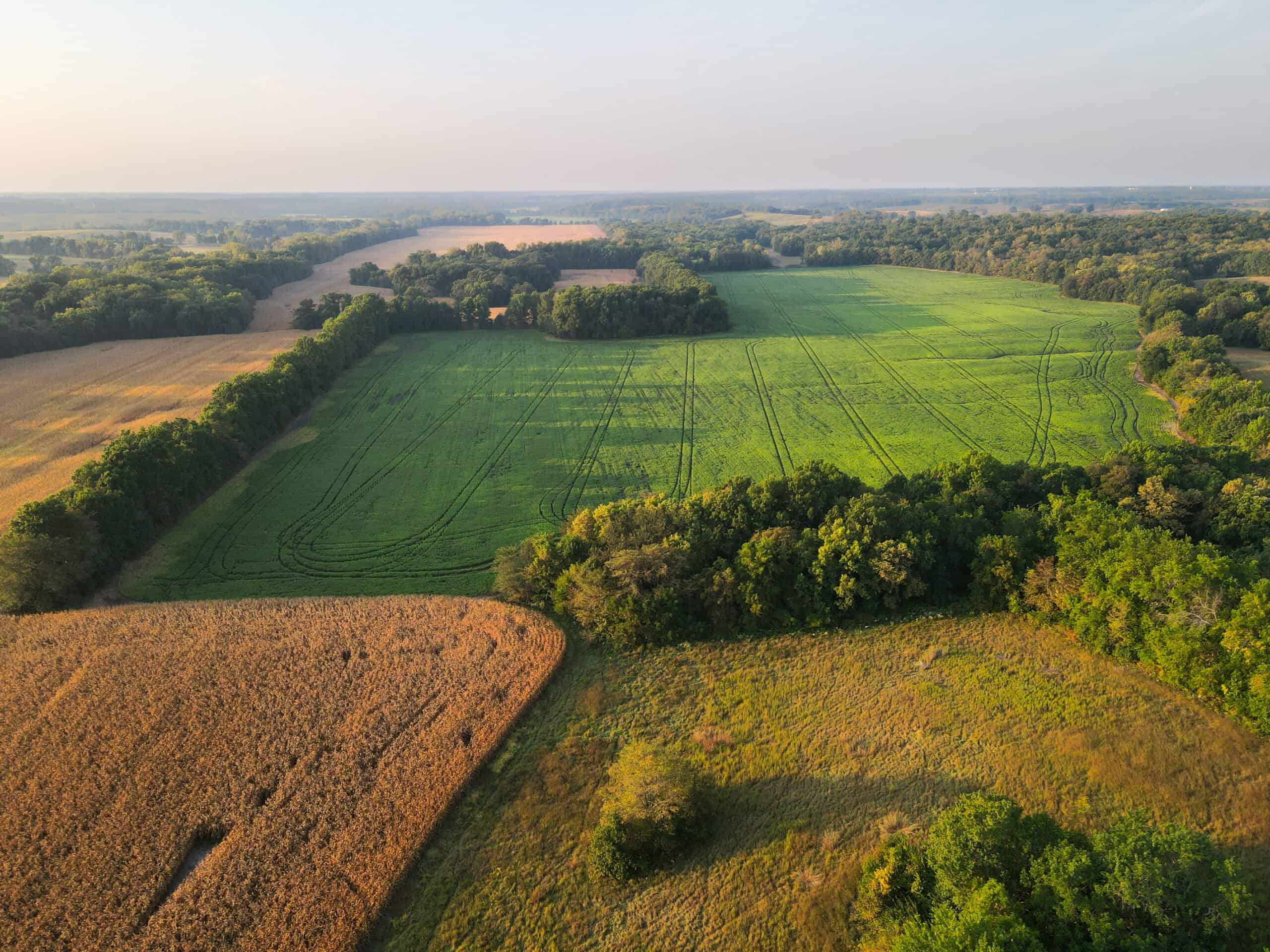 Rare Opportunity: Premium 450± Acre Managed Hunting Paradise