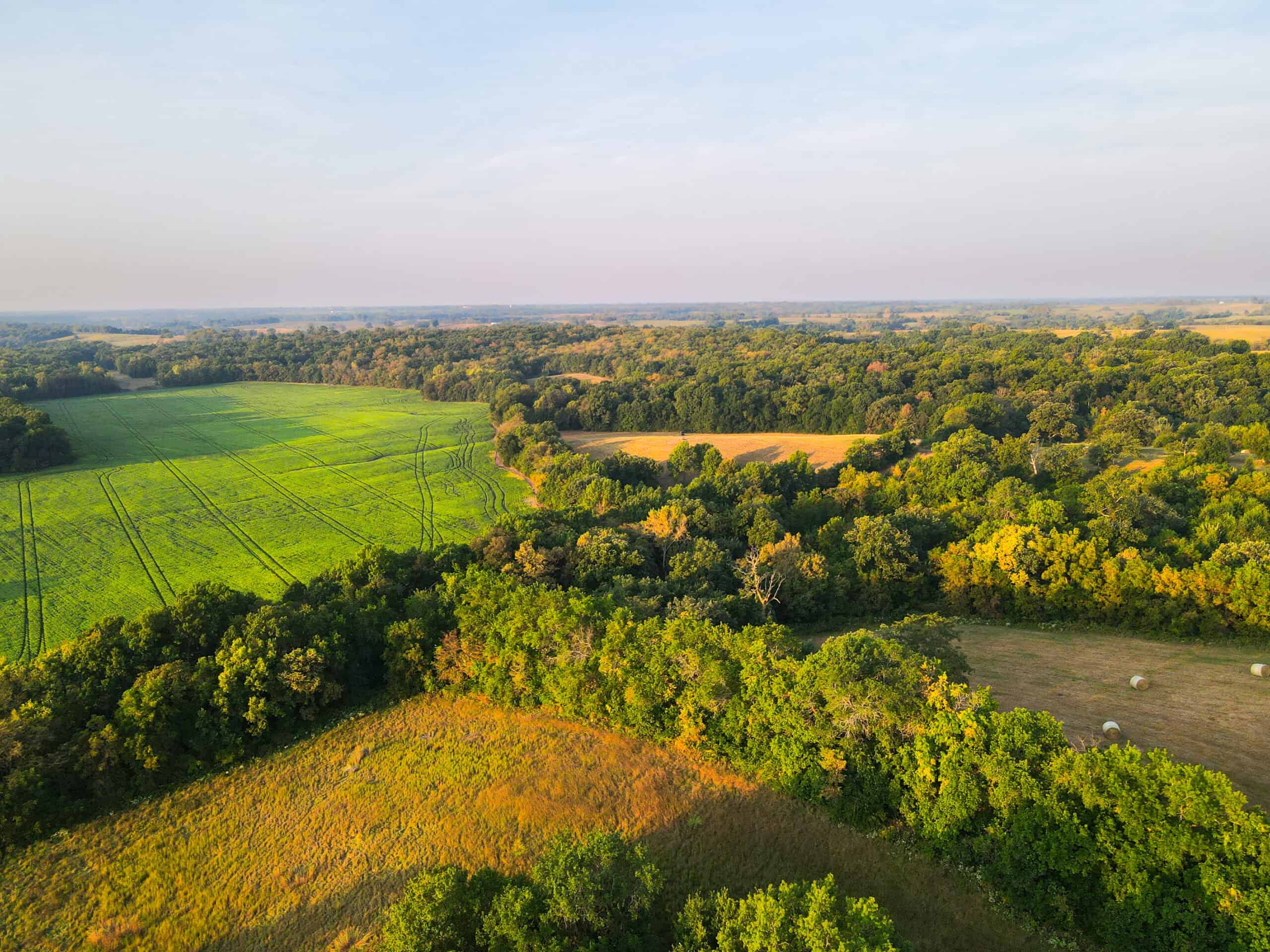 Rare Opportunity: Premium 450± Acre Managed Hunting Paradise
