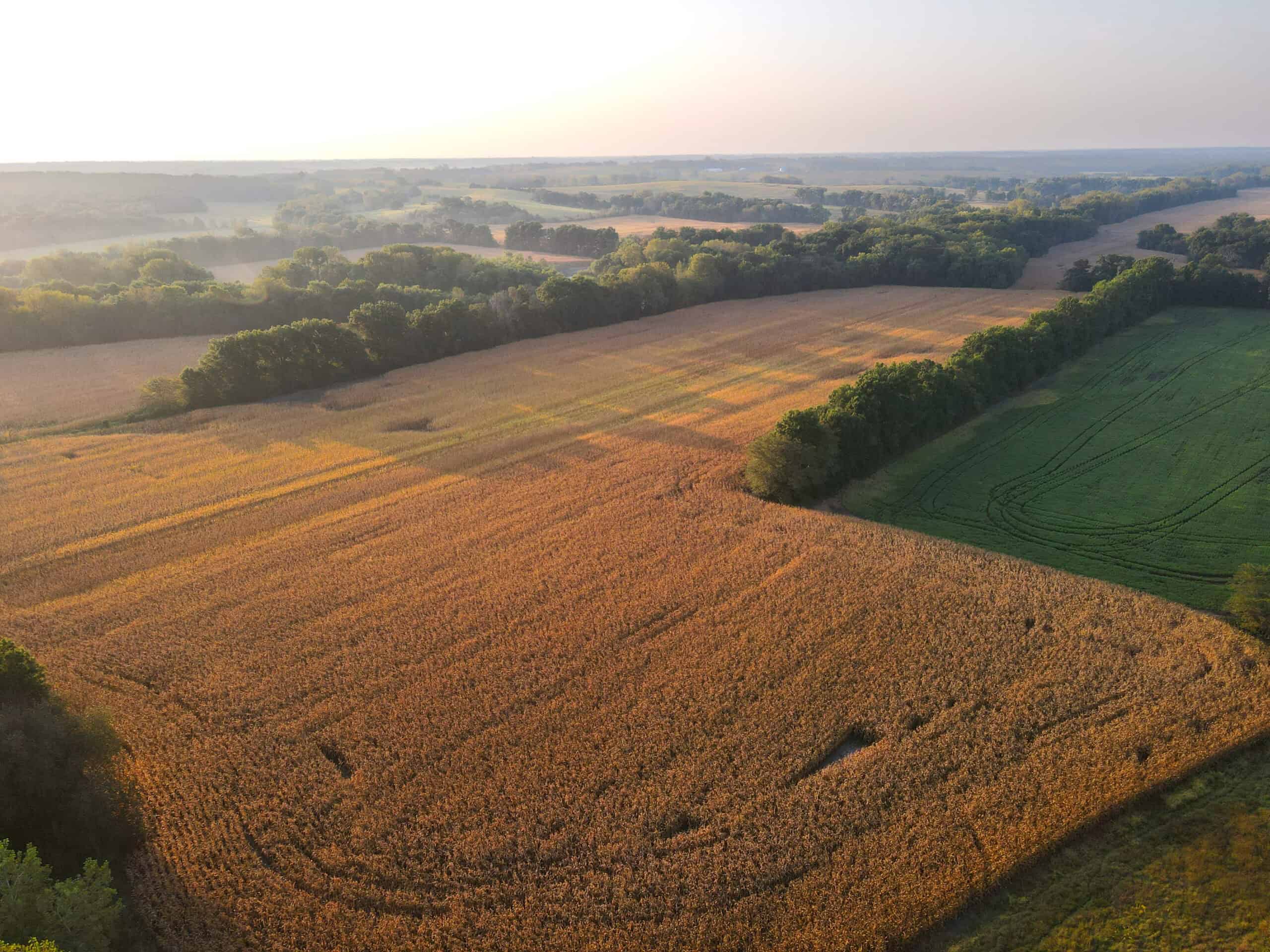 Rare Opportunity: Premium 450± Acre Managed Hunting Paradise