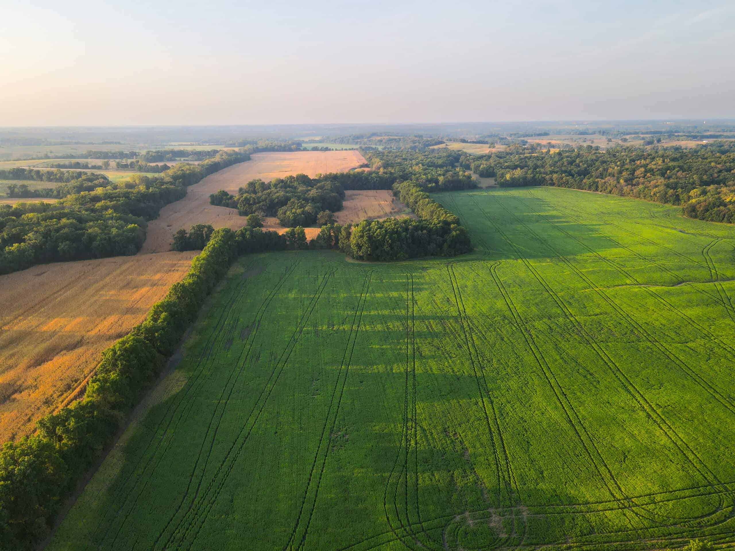 Rare Opportunity: Premium 450± Acre Managed Hunting Paradise