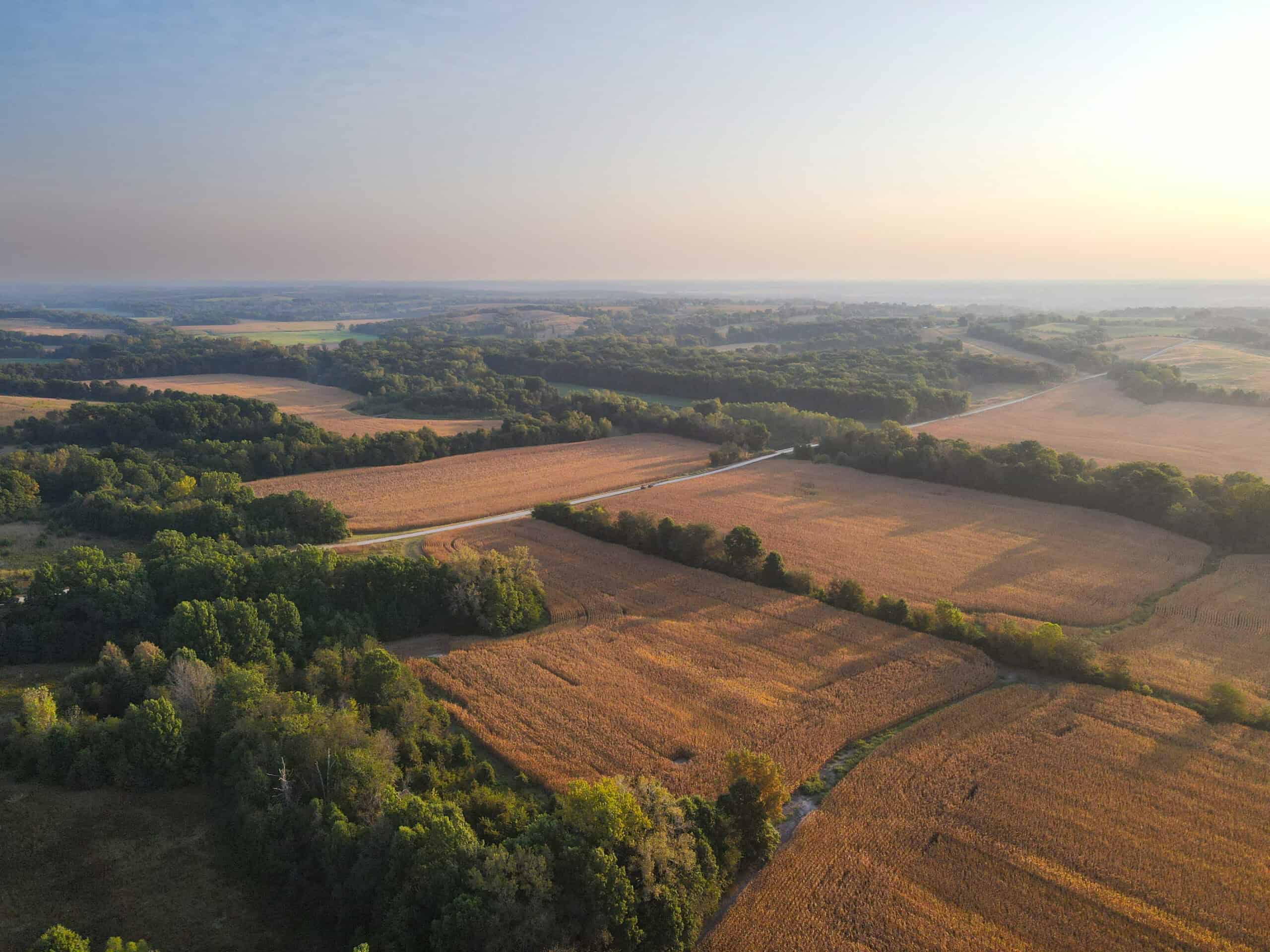 Rare Opportunity: Premium 450± Acre Managed Hunting Paradise