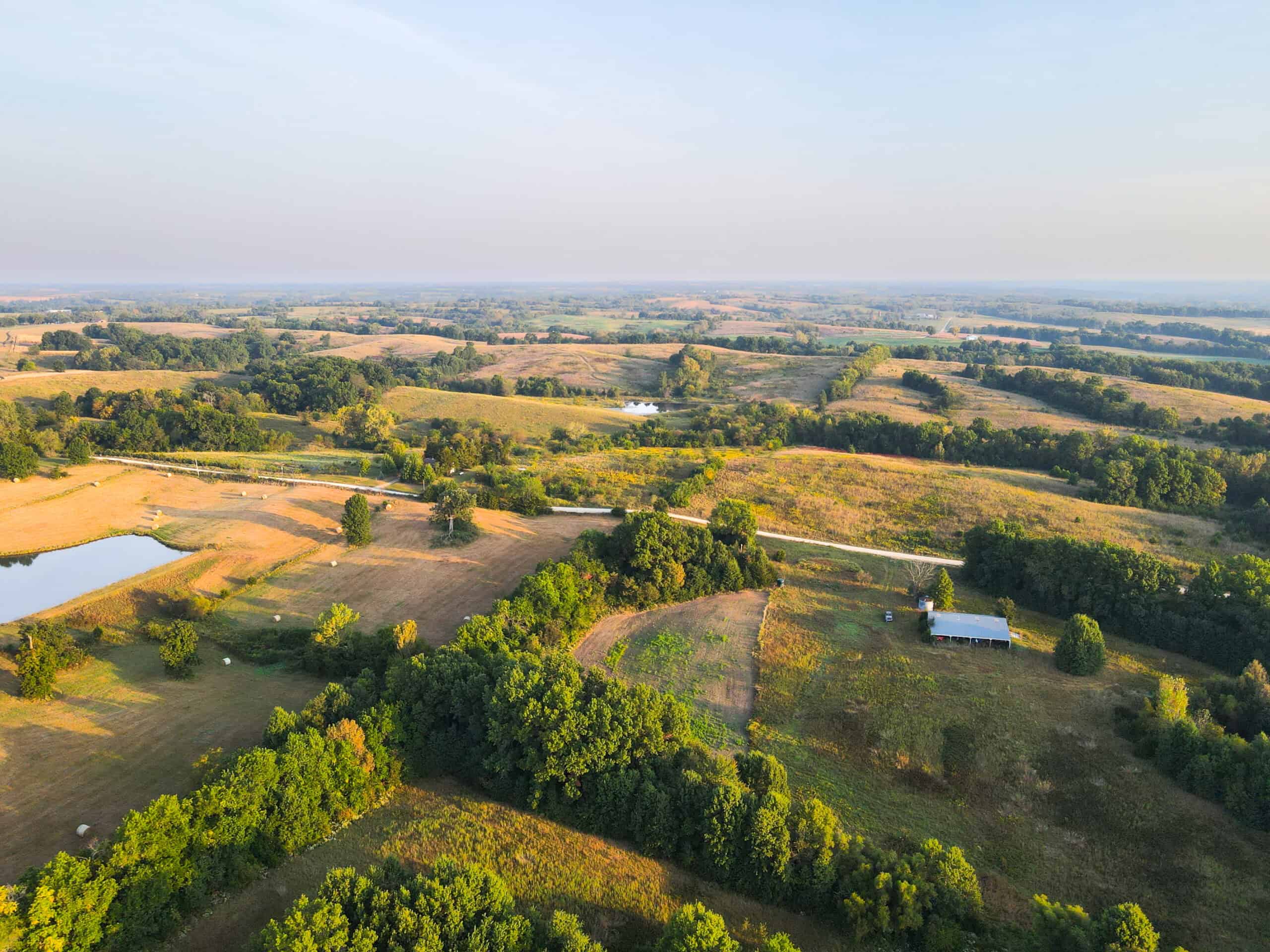 Rare Opportunity: Premium 450± Acre Managed Hunting Paradise