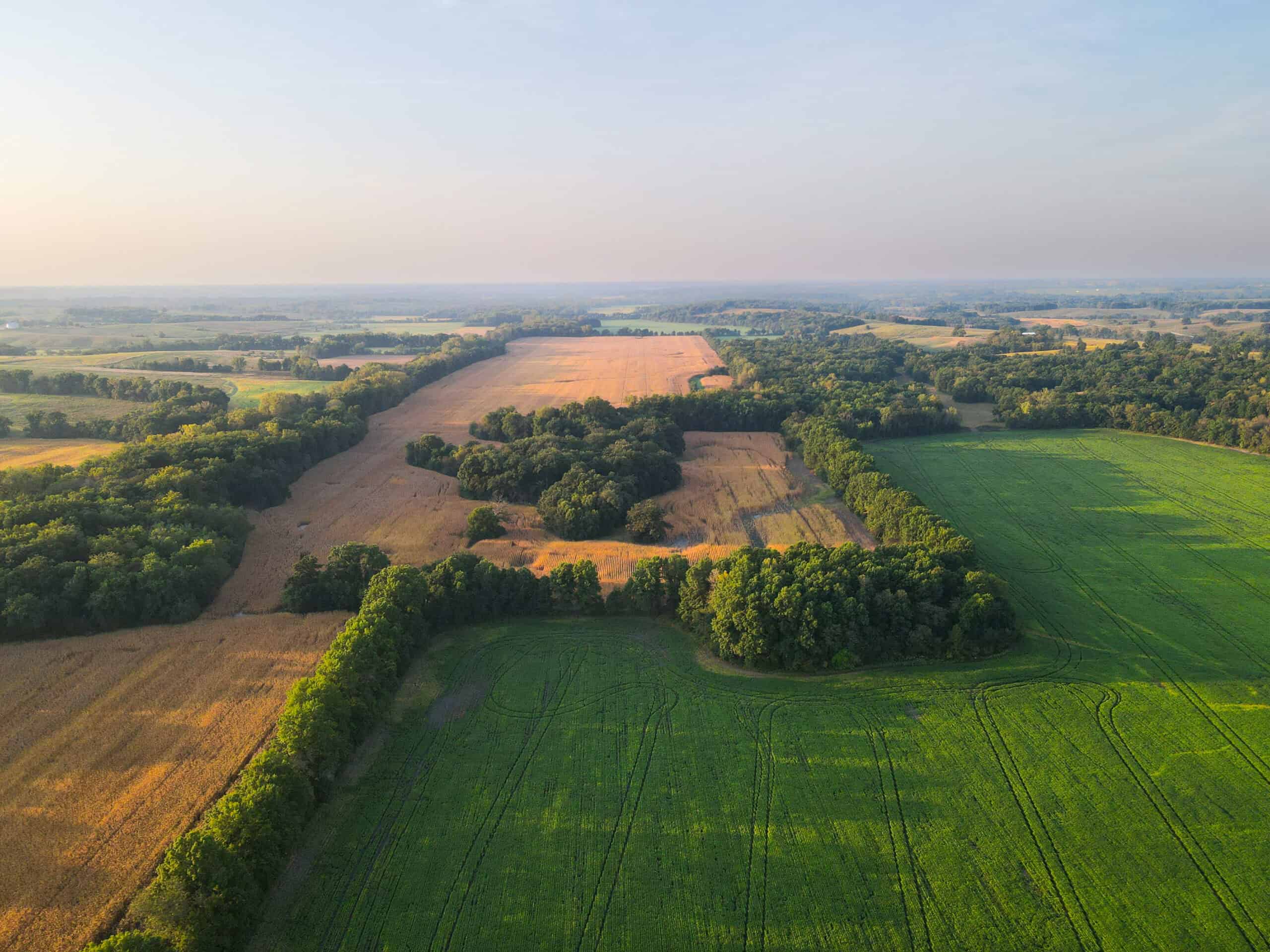 Rare Opportunity: Premium 450± Acre Managed Hunting Paradise