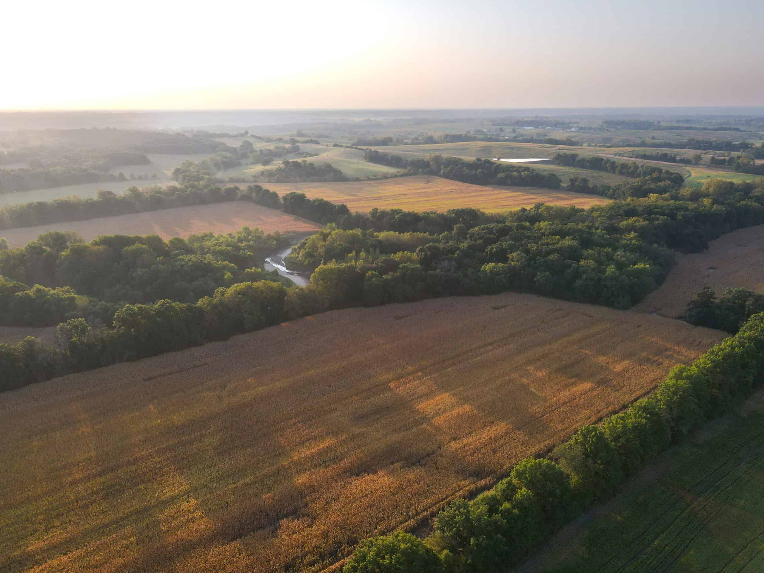 Rare Opportunity: Premium 450± Acre Managed Hunting Paradise