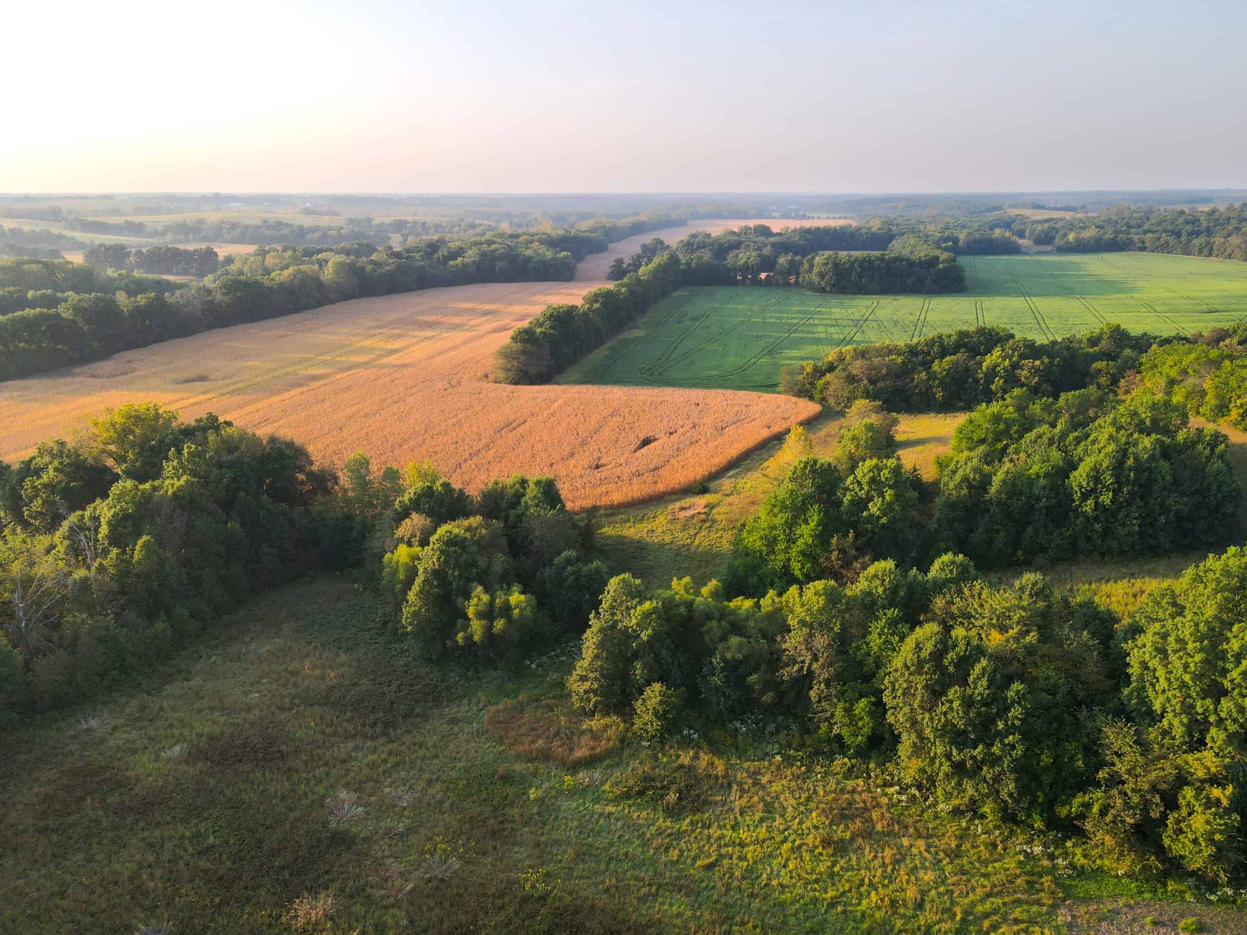 Rare Opportunity: Premium 450± Acre Managed Hunting Paradise