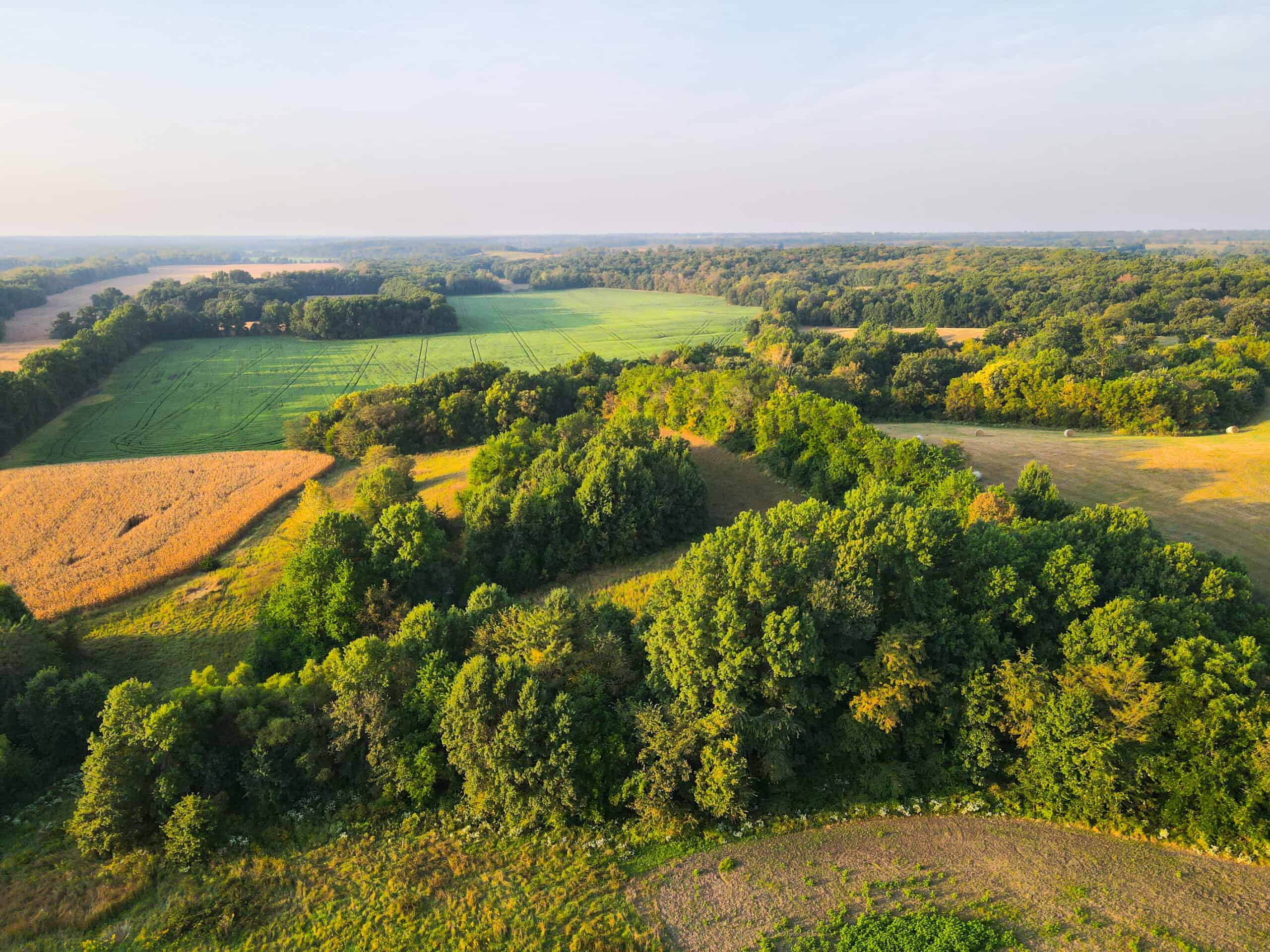 Rare Opportunity: Premium 450± Acre Managed Hunting Paradise
