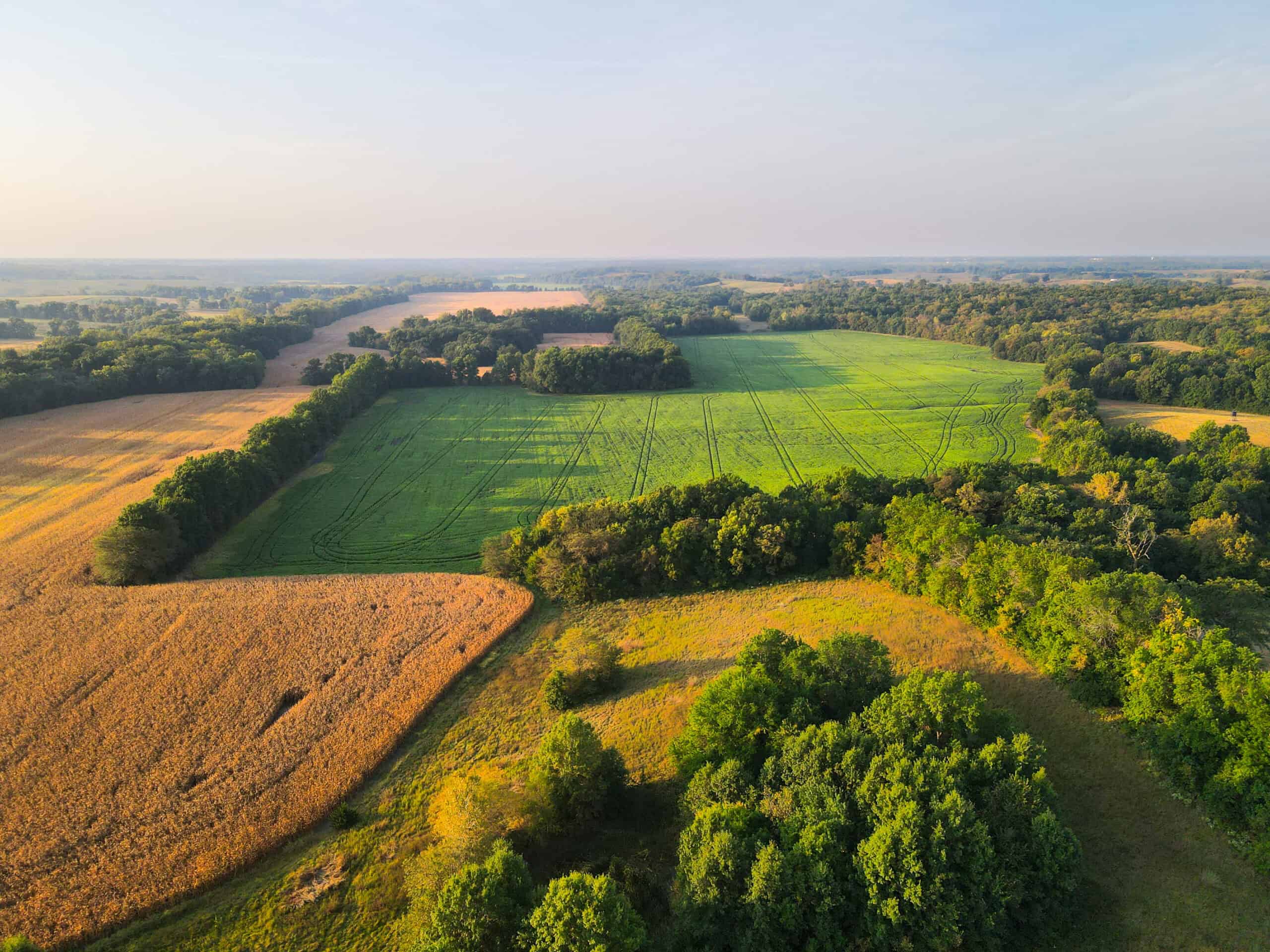 Rare Opportunity: Premium 450± Acre Managed Hunting Paradise