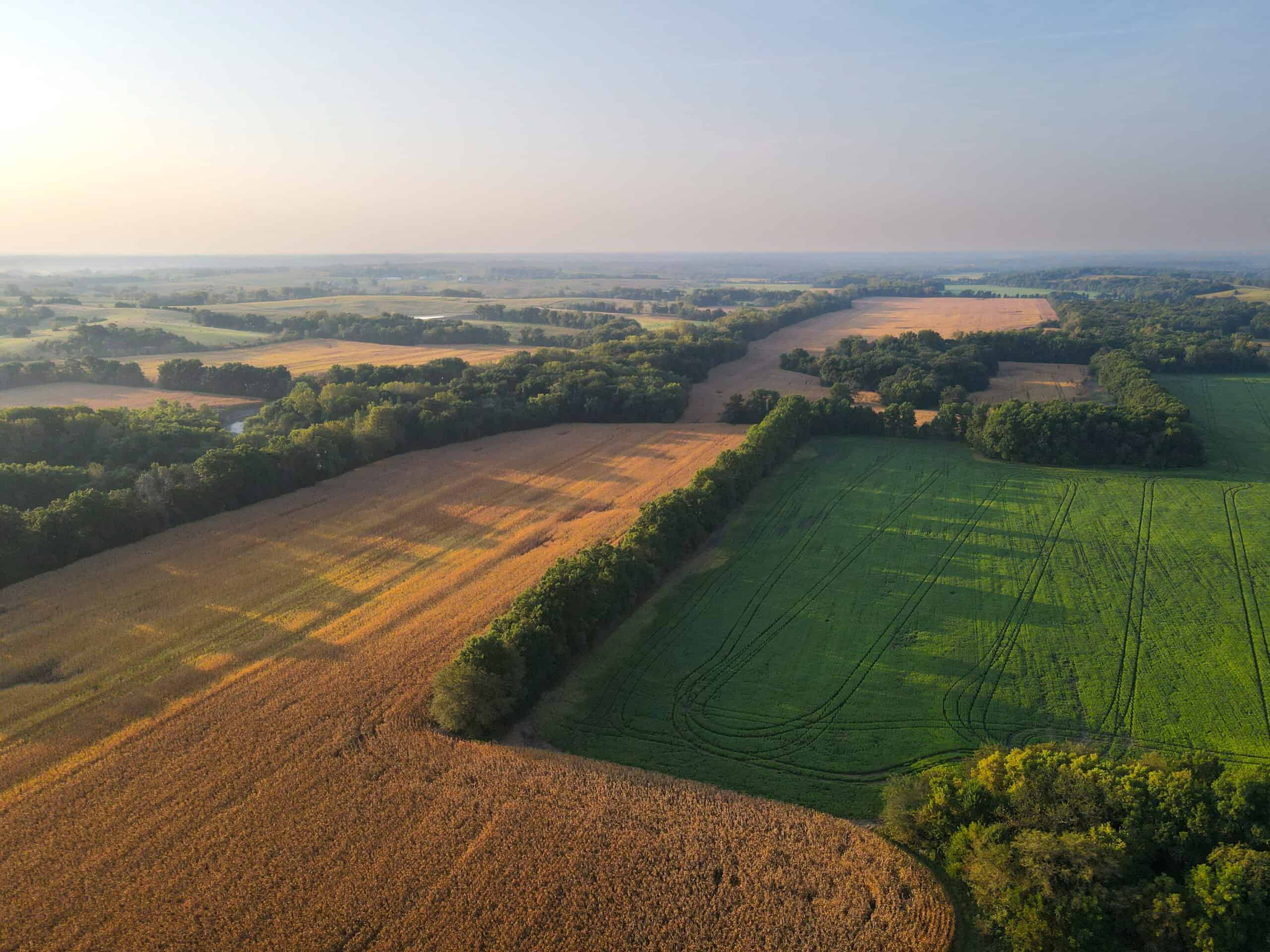 Rare Opportunity: Premium 450± Acre Managed Hunting Paradise