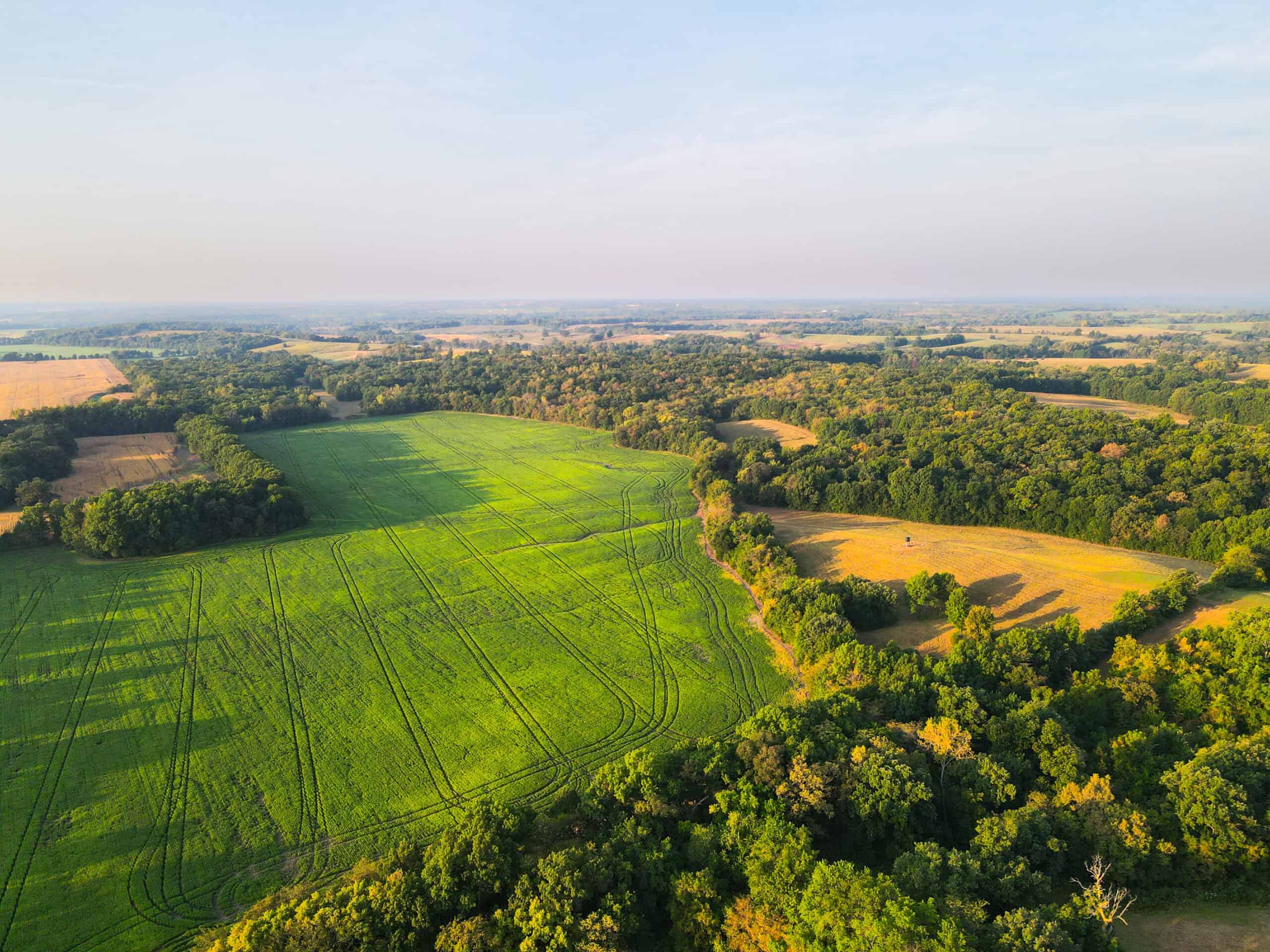 Rare Opportunity: Premium 450± Acre Managed Hunting Paradise