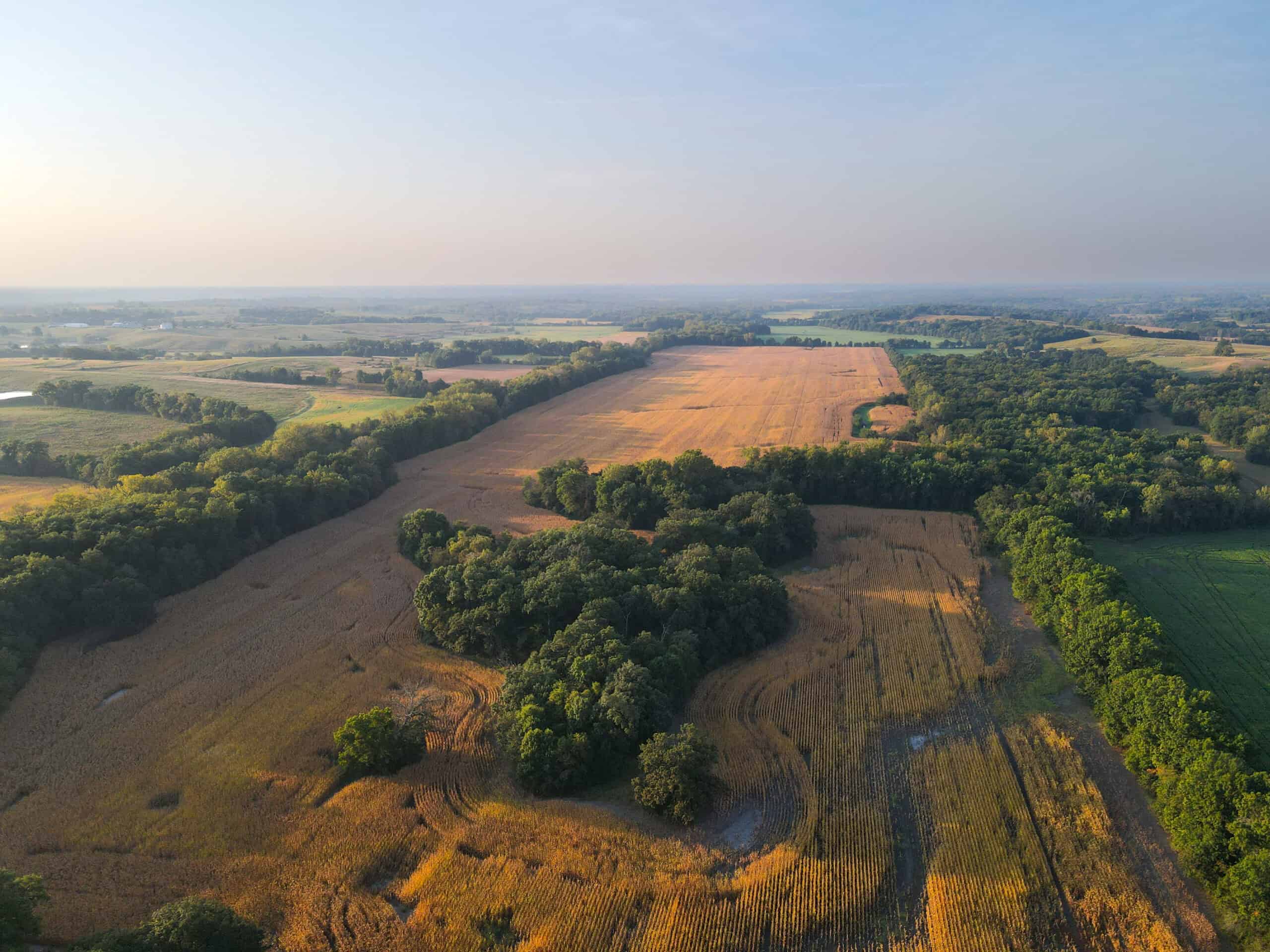 Rare Opportunity: Premium 450± Acre Managed Hunting Paradise