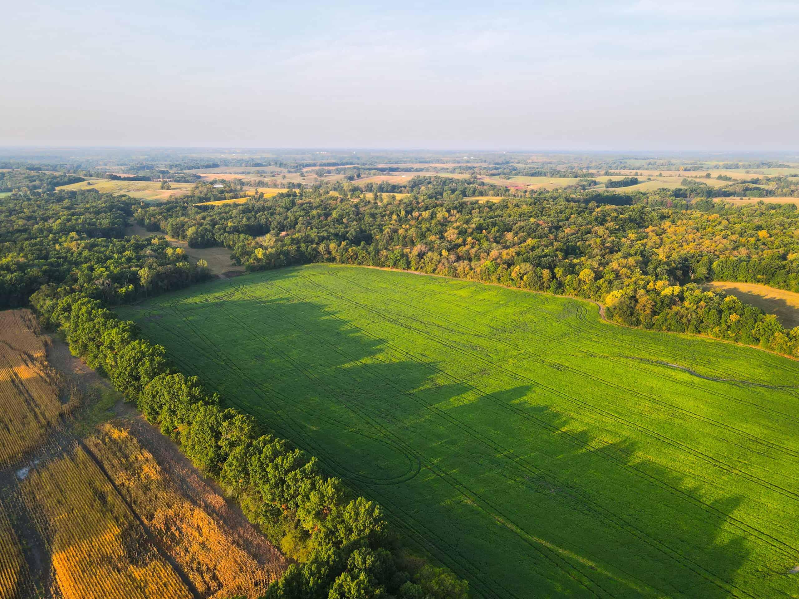 Rare Opportunity: Premium 450± Acre Managed Hunting Paradise