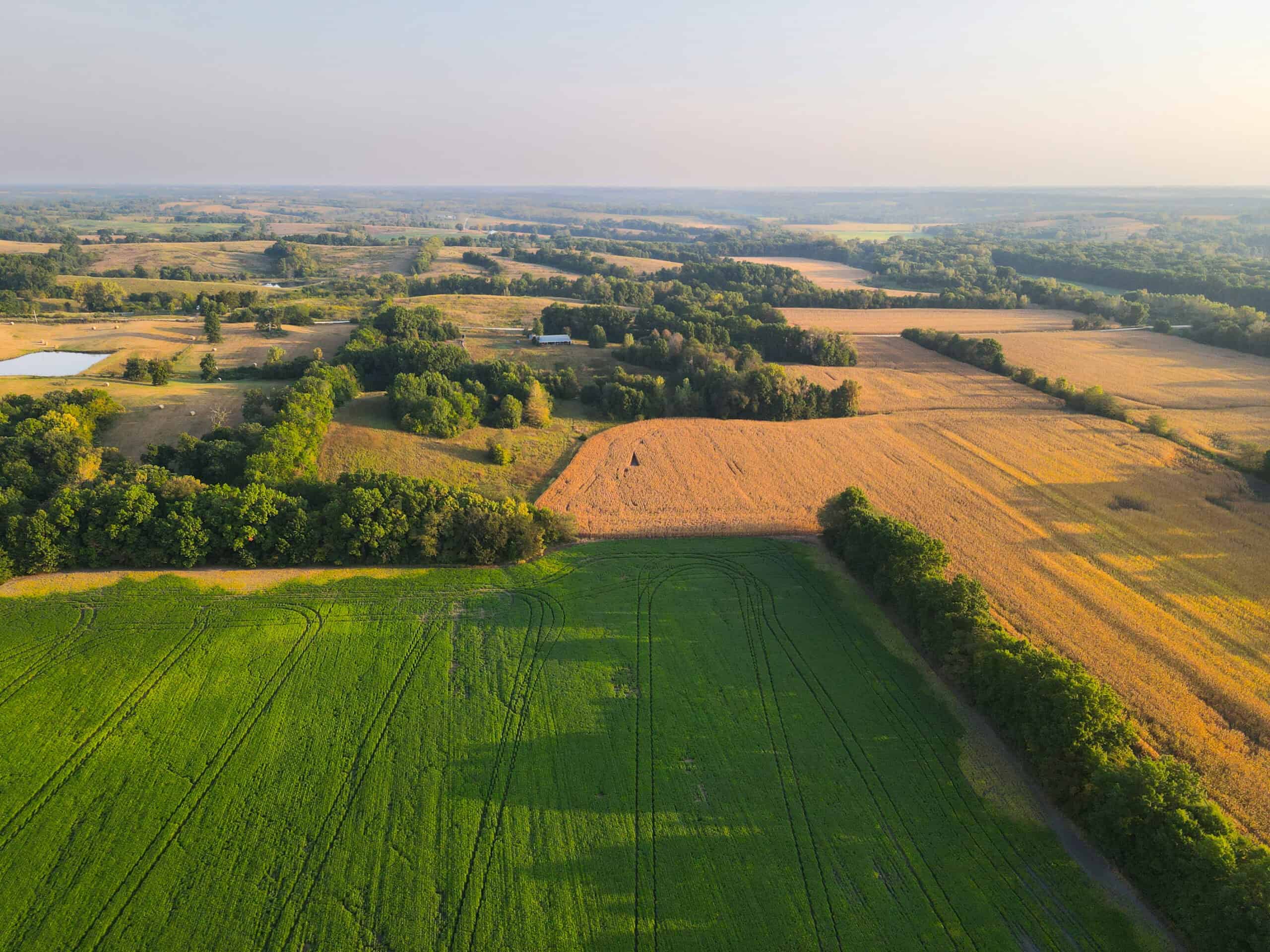 Rare Opportunity: Premium 450± Acre Managed Hunting Paradise