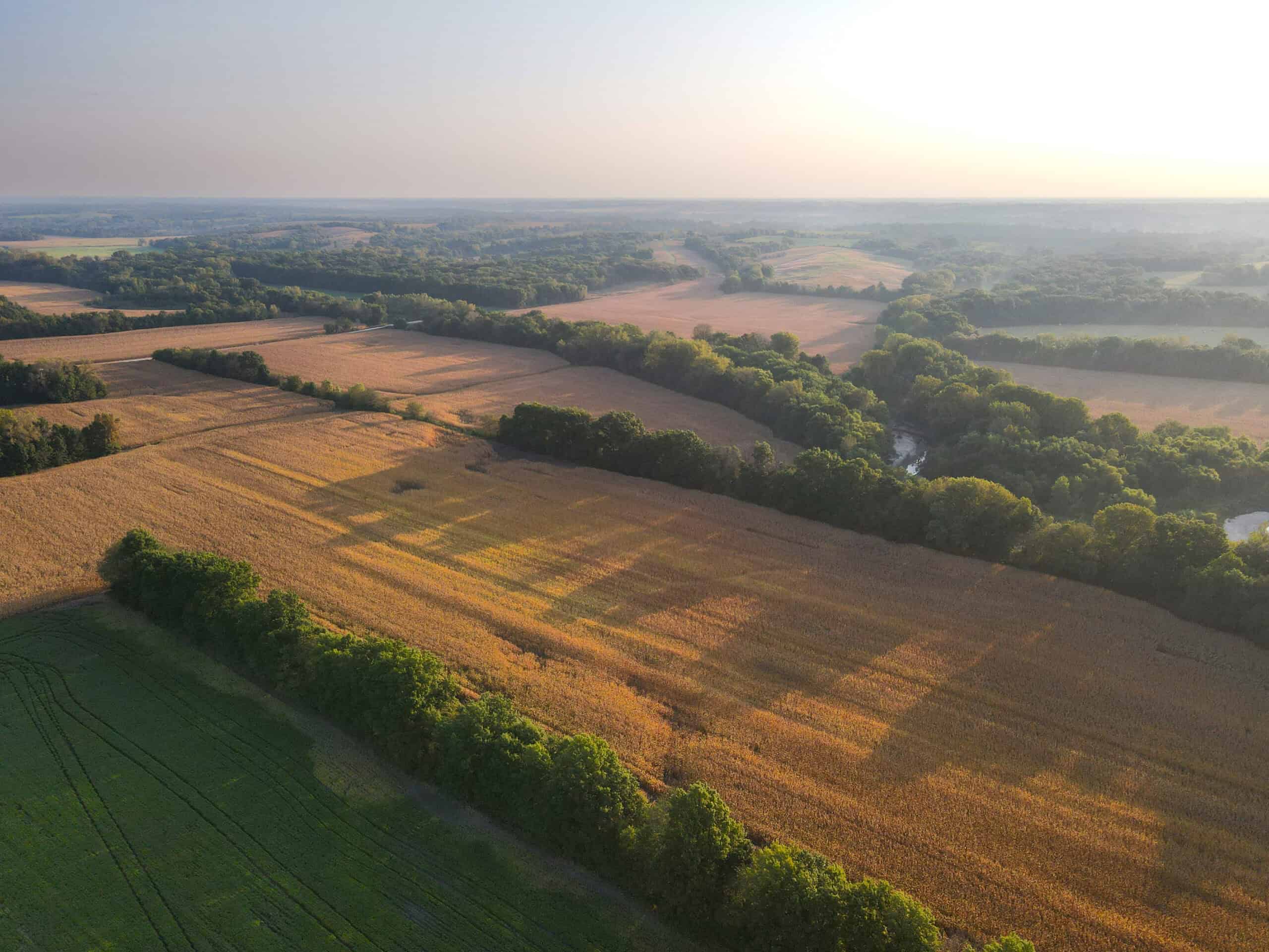 Rare Opportunity: Premium 450± Acre Managed Hunting Paradise