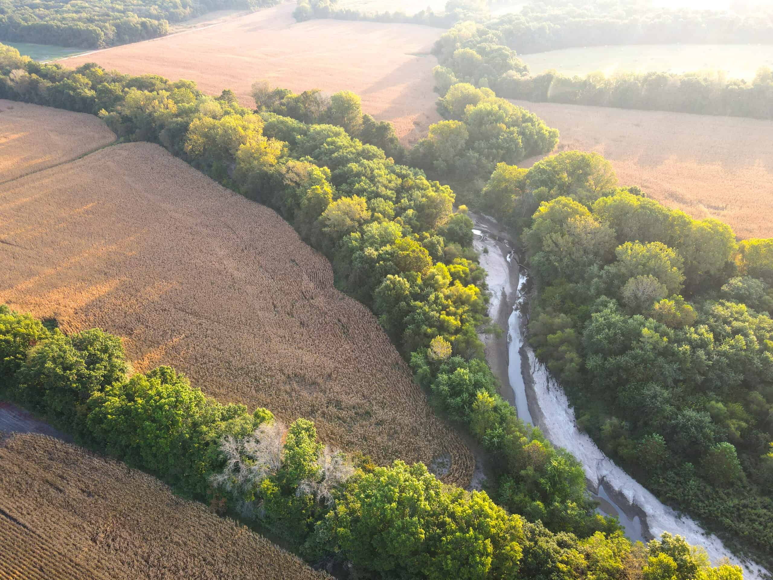 Rare Opportunity: Premium 450± Acre Managed Hunting Paradise