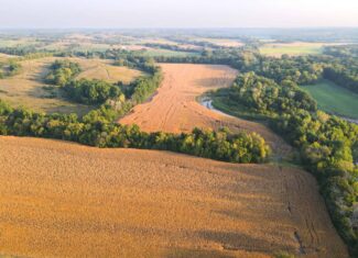 Rare Opportunity: Premium 450± Acre Managed Hunting Paradise