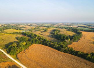 Rare Opportunity: Premium 450± Acre Managed Hunting Paradise