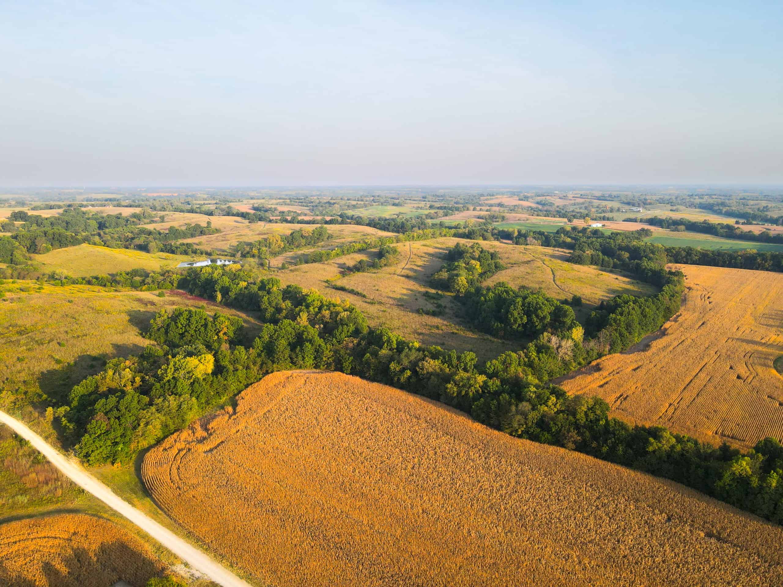 Rare Opportunity: Premium 450± Acre Managed Hunting Paradise