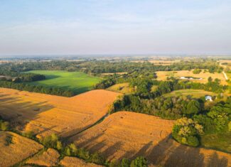 Rare Opportunity: Premium 450± Acre Managed Hunting Paradise