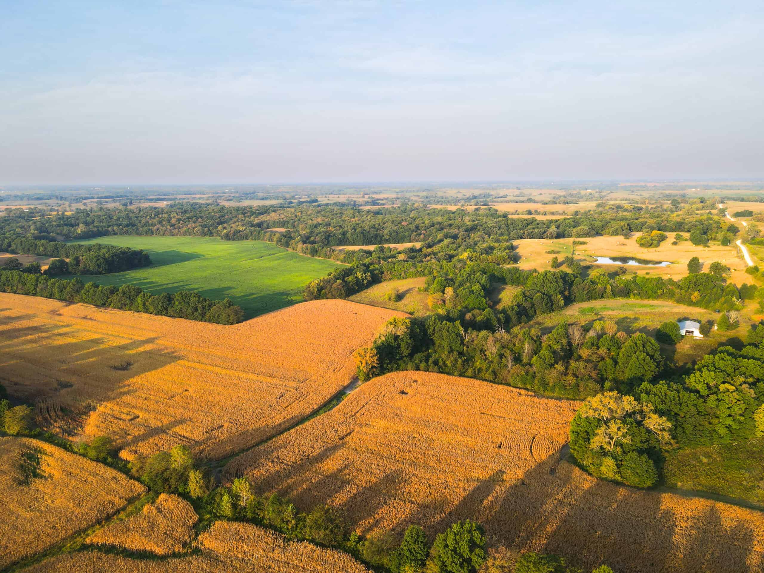 Rare Opportunity: Premium 450± Acre Managed Hunting Paradise