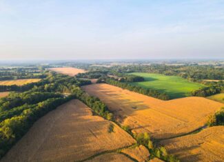 Rare Opportunity: Premium 450± Acre Managed Hunting Paradise