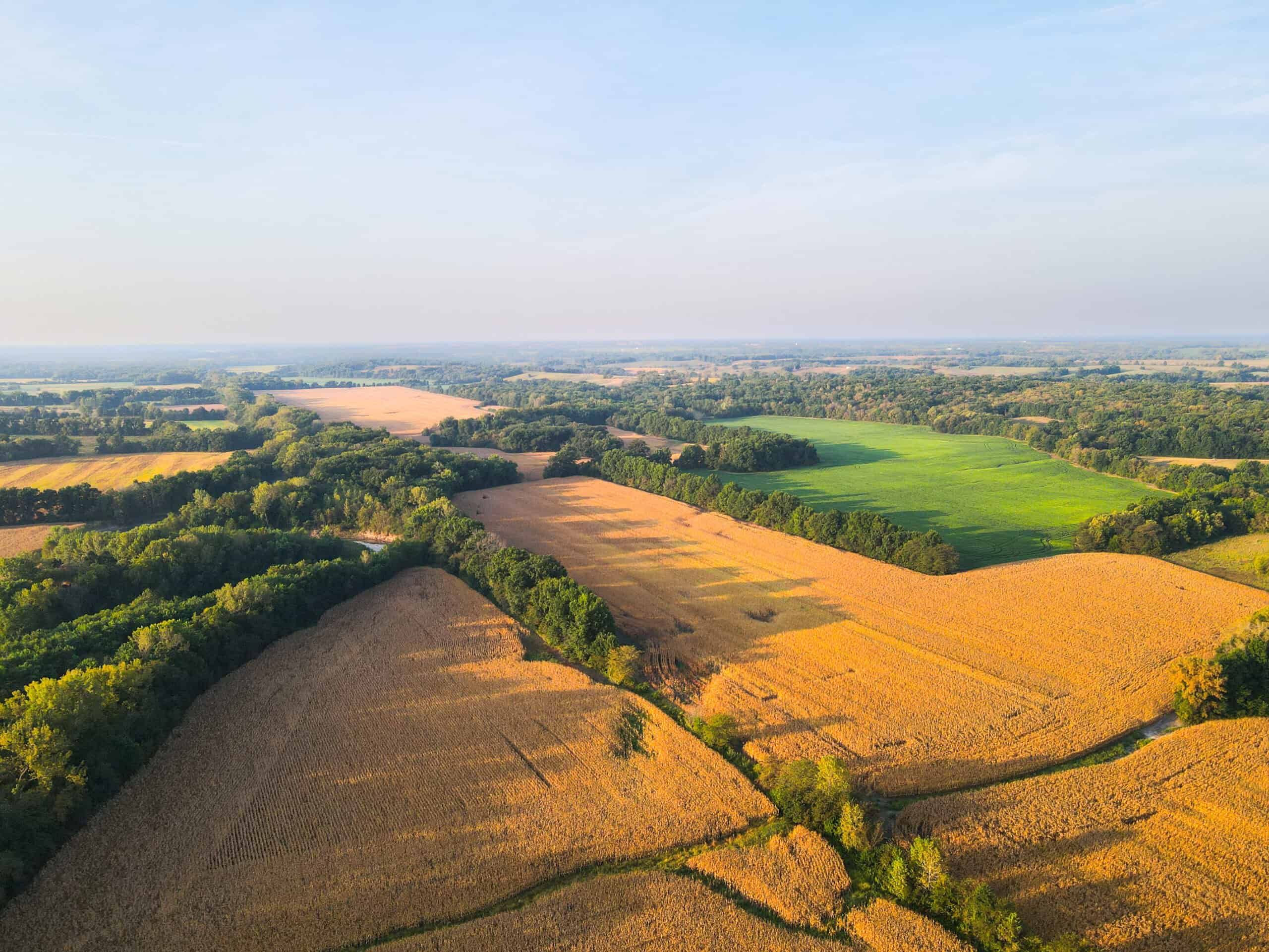 Rare Opportunity: Premium 450± Acre Managed Hunting Paradise