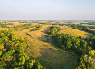 Rare Opportunity: Premium 450± Acre Managed Hunting Paradise