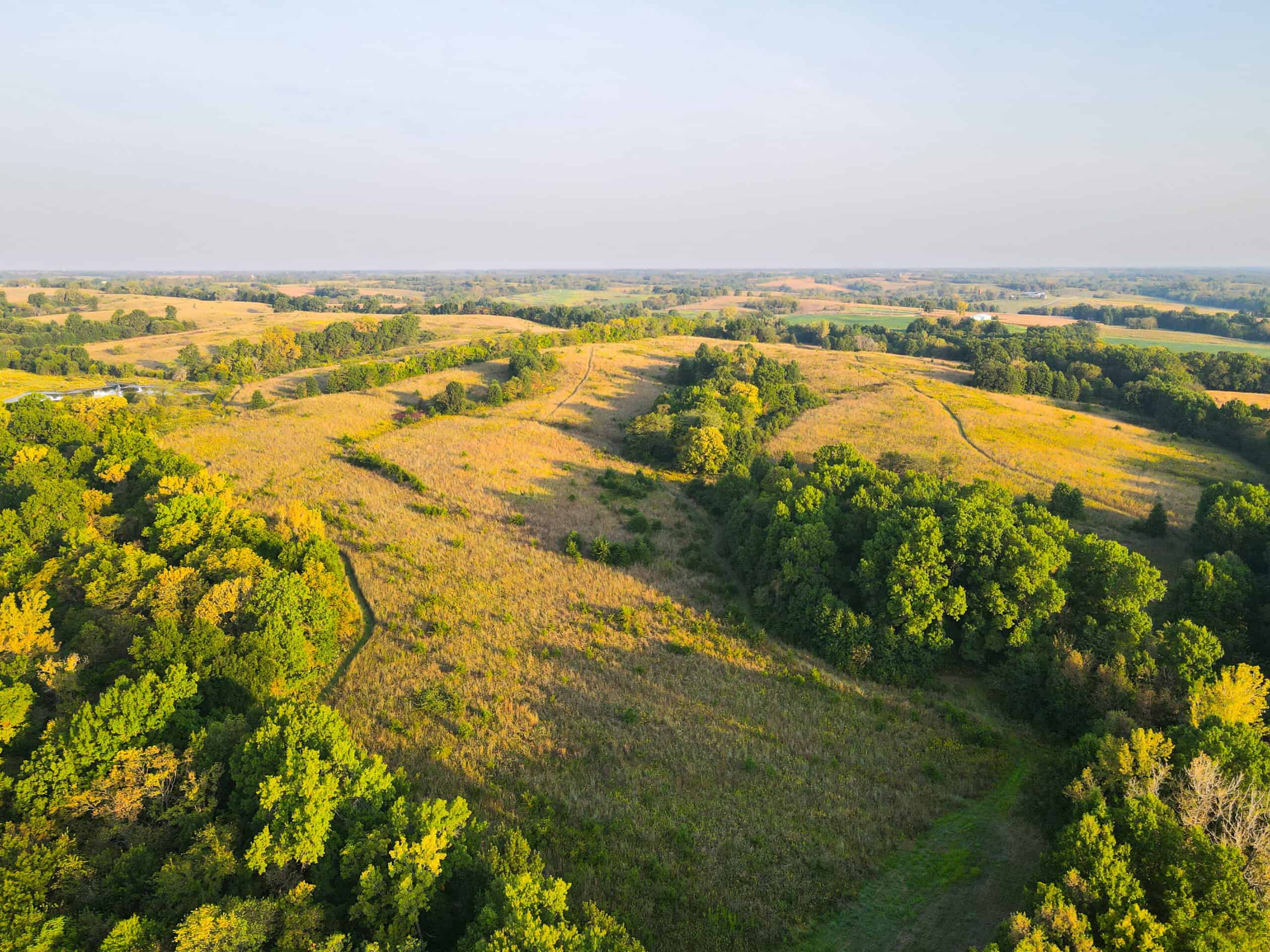 Rare Opportunity: Premium 450± Acre Managed Hunting Paradise