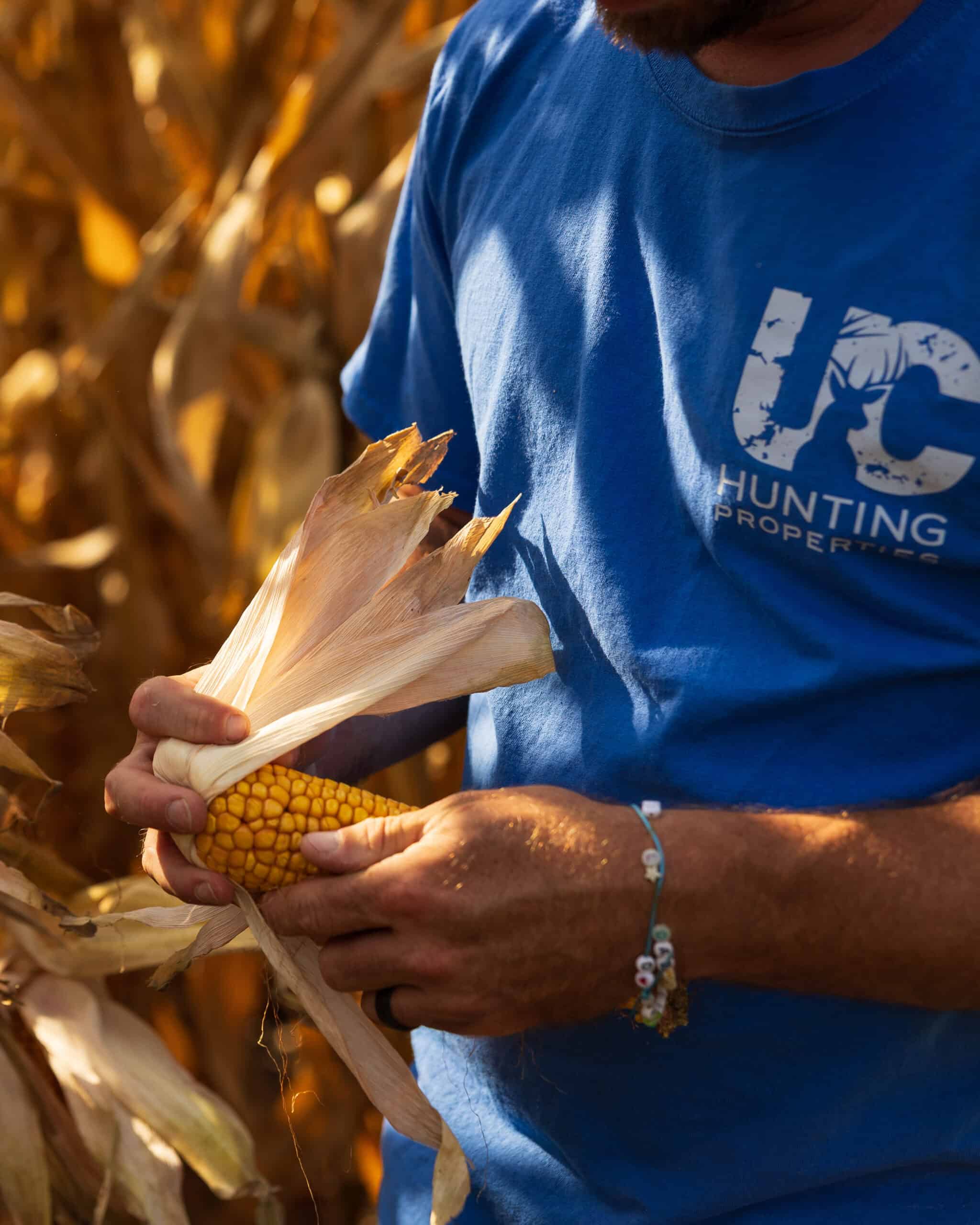 Rare Opportunity: Premium 450± Acre Managed Hunting Paradise