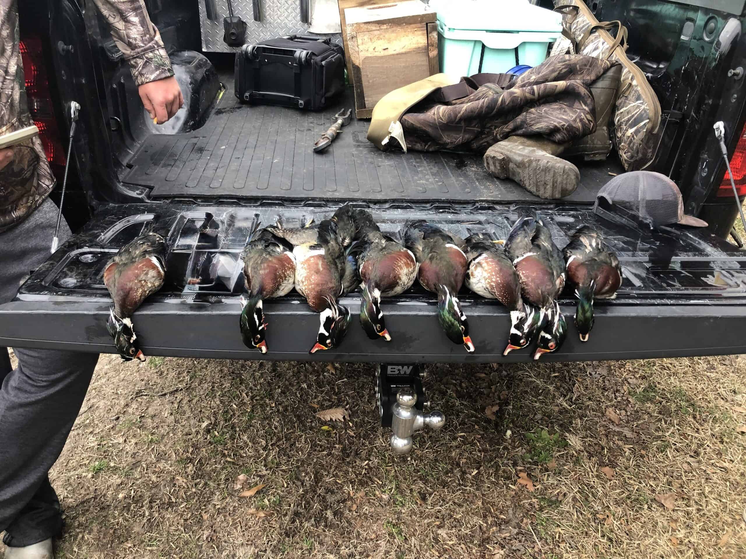 53-Acre Duck Hunting Land on Chocowinity Creek