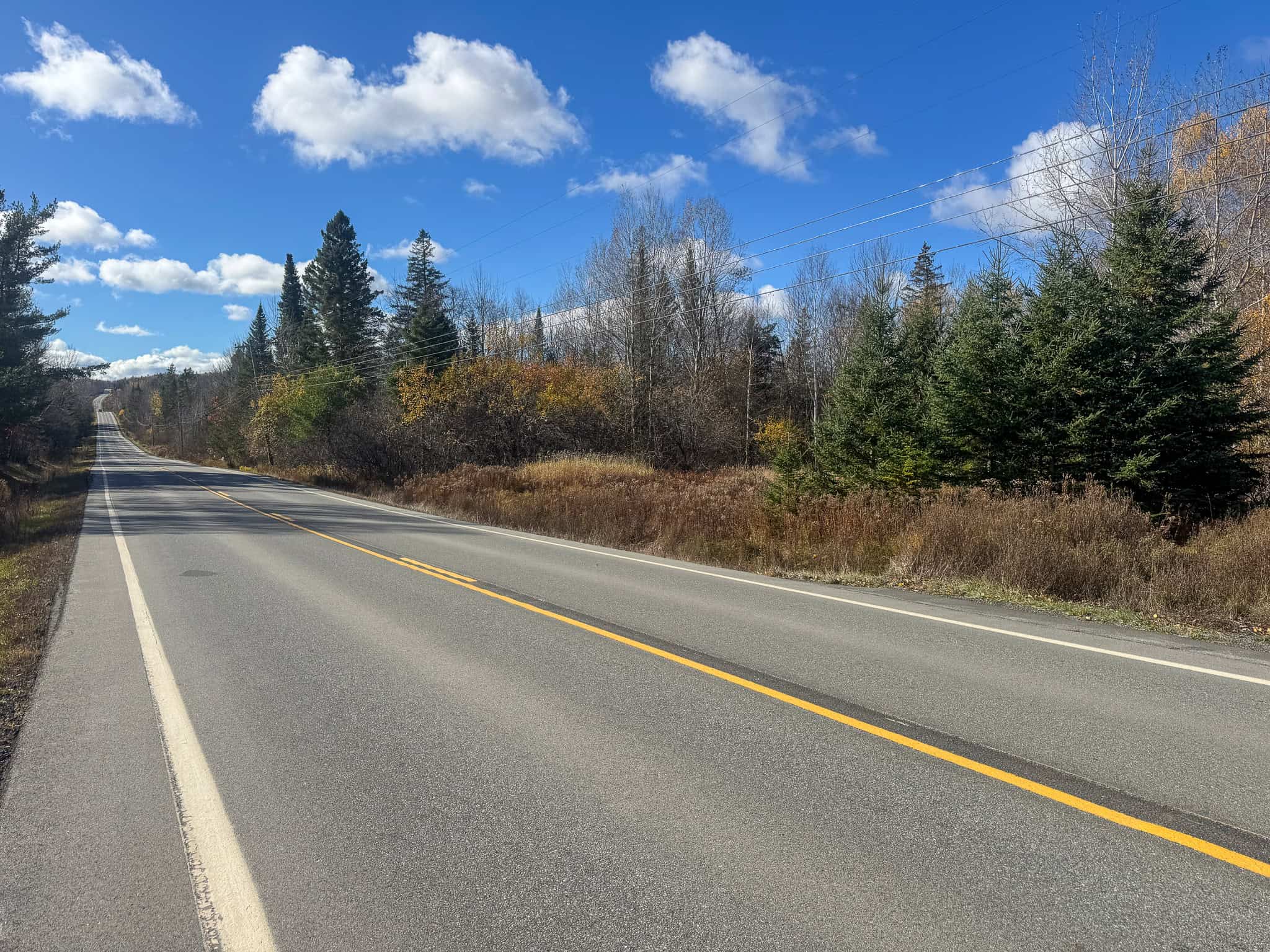 115± Acres Hunting Land with Trout Brook, Power & Paved Road Access