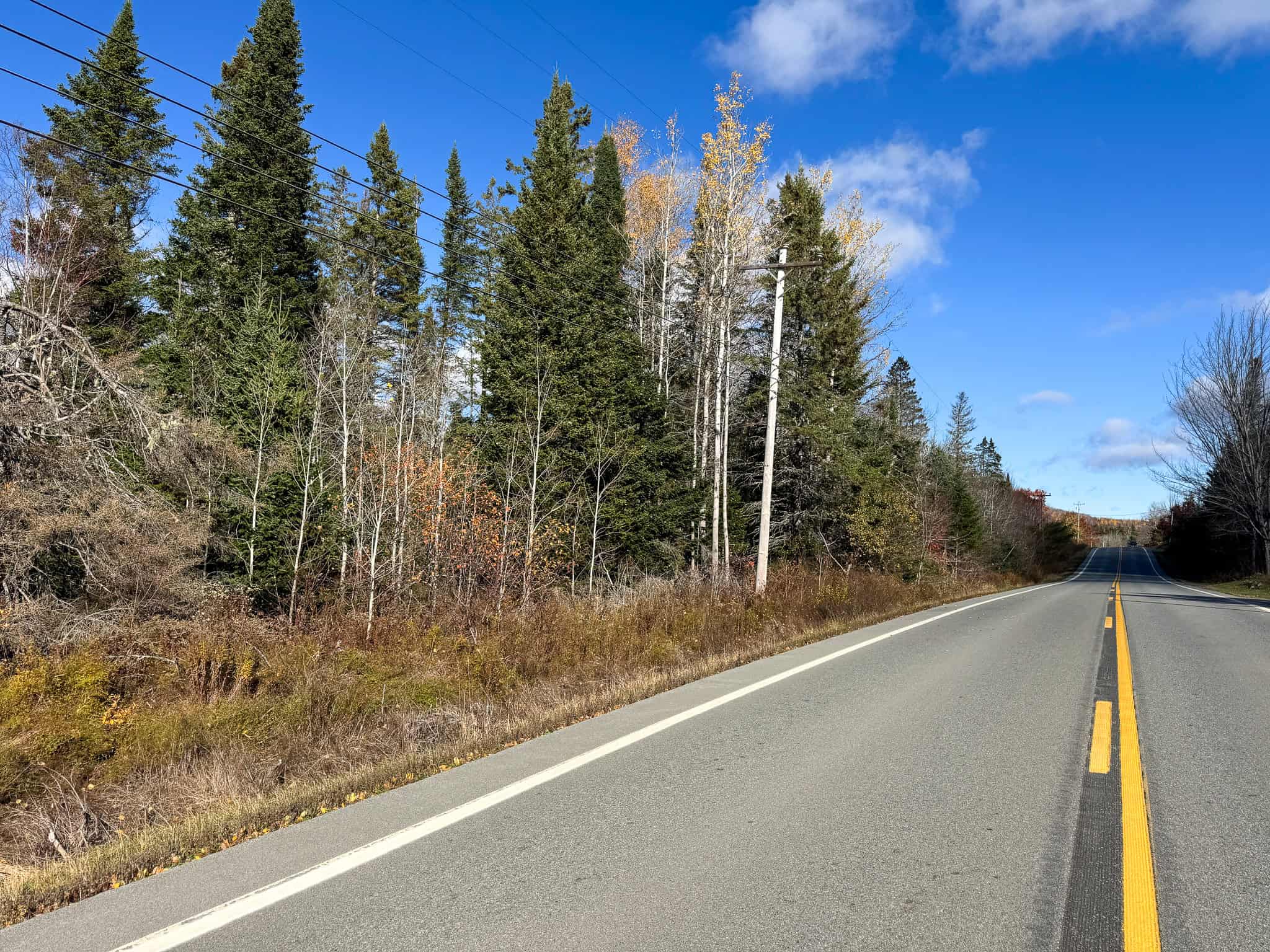 115± Acres Hunting Land with Trout Brook, Power & Paved Road Access