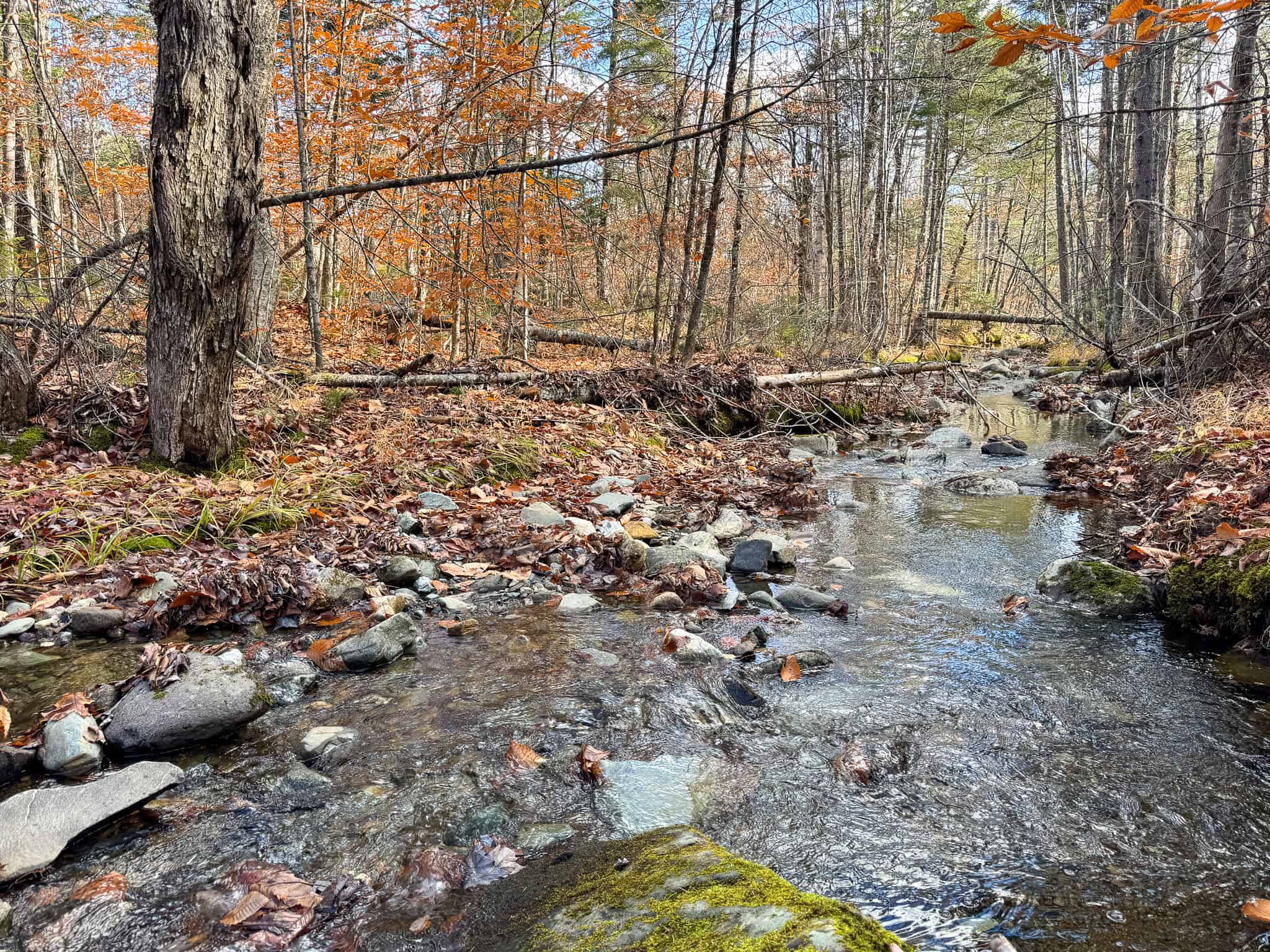 115± Acres Hunting Land with Trout Brook, Power & Paved Road Access