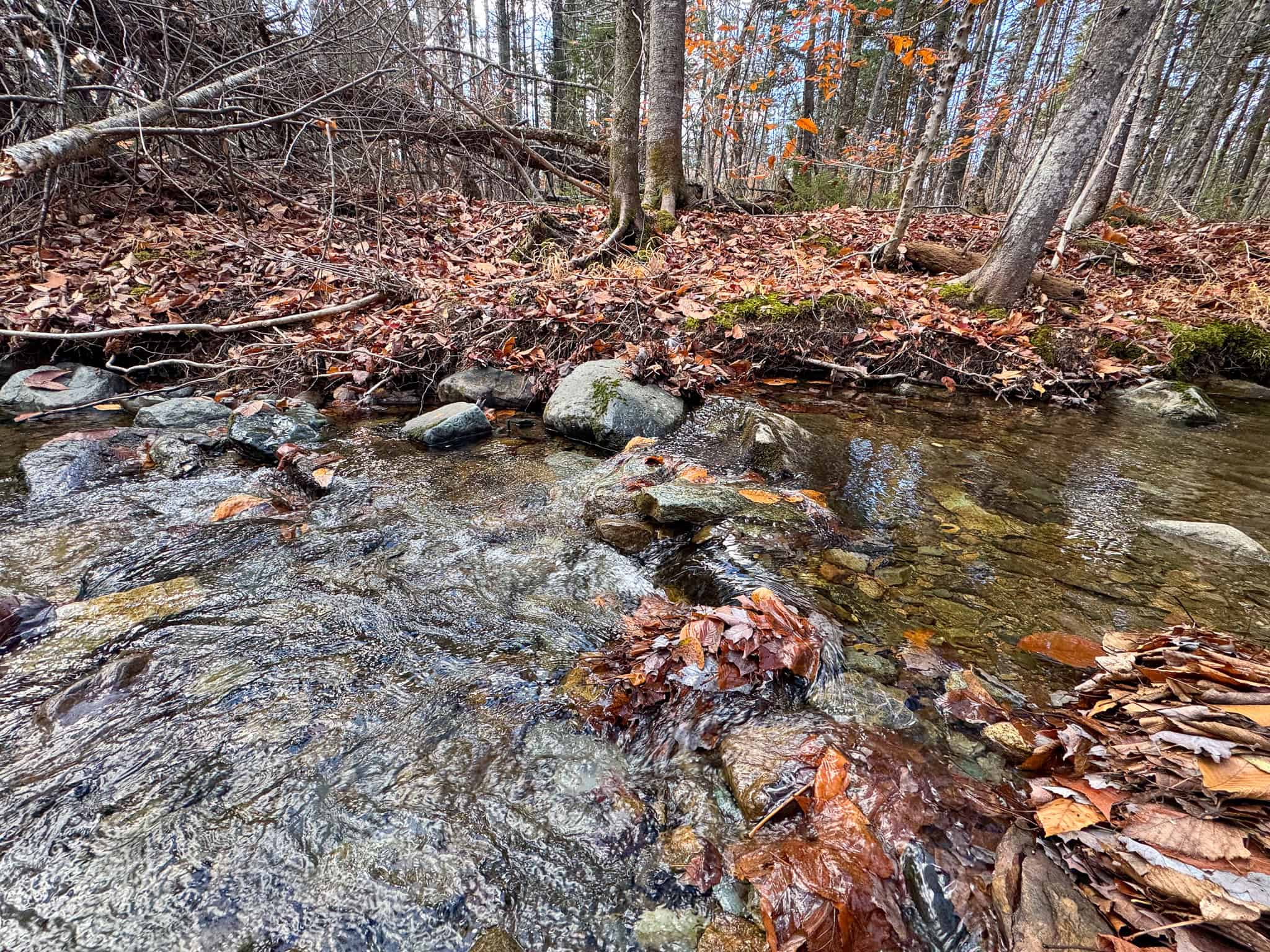 115± Acres Hunting Land with Trout Brook, Power & Paved Road Access