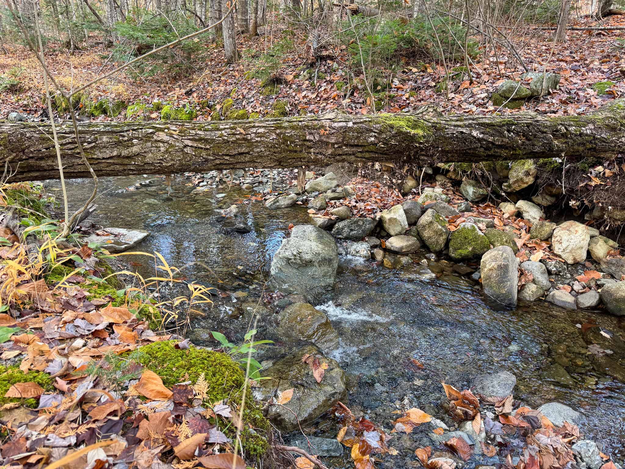 115± Acres Hunting Land with Trout Brook, Power & Paved Road Access